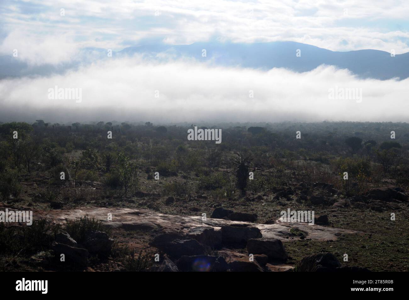 Mentre il mondo si batte contro il cambiamento climatico, la nebbia copre il villaggio di Maja ai margini delle montagne di Drakensberg a Limpopo, in Sudafrica, come modelli meteorologici Foto Stock