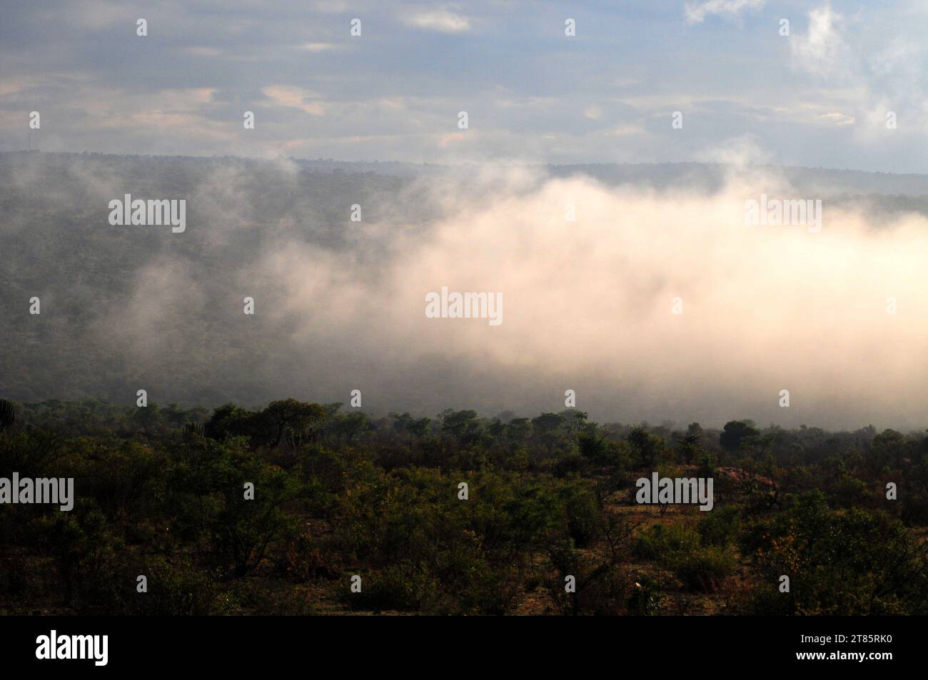 Mentre il mondo si batte contro il cambiamento climatico, la nebbia copre il villaggio di Maja ai margini delle montagne di Drakensberg a Limpopo, in Sudafrica, come modelli meteorologici Foto Stock