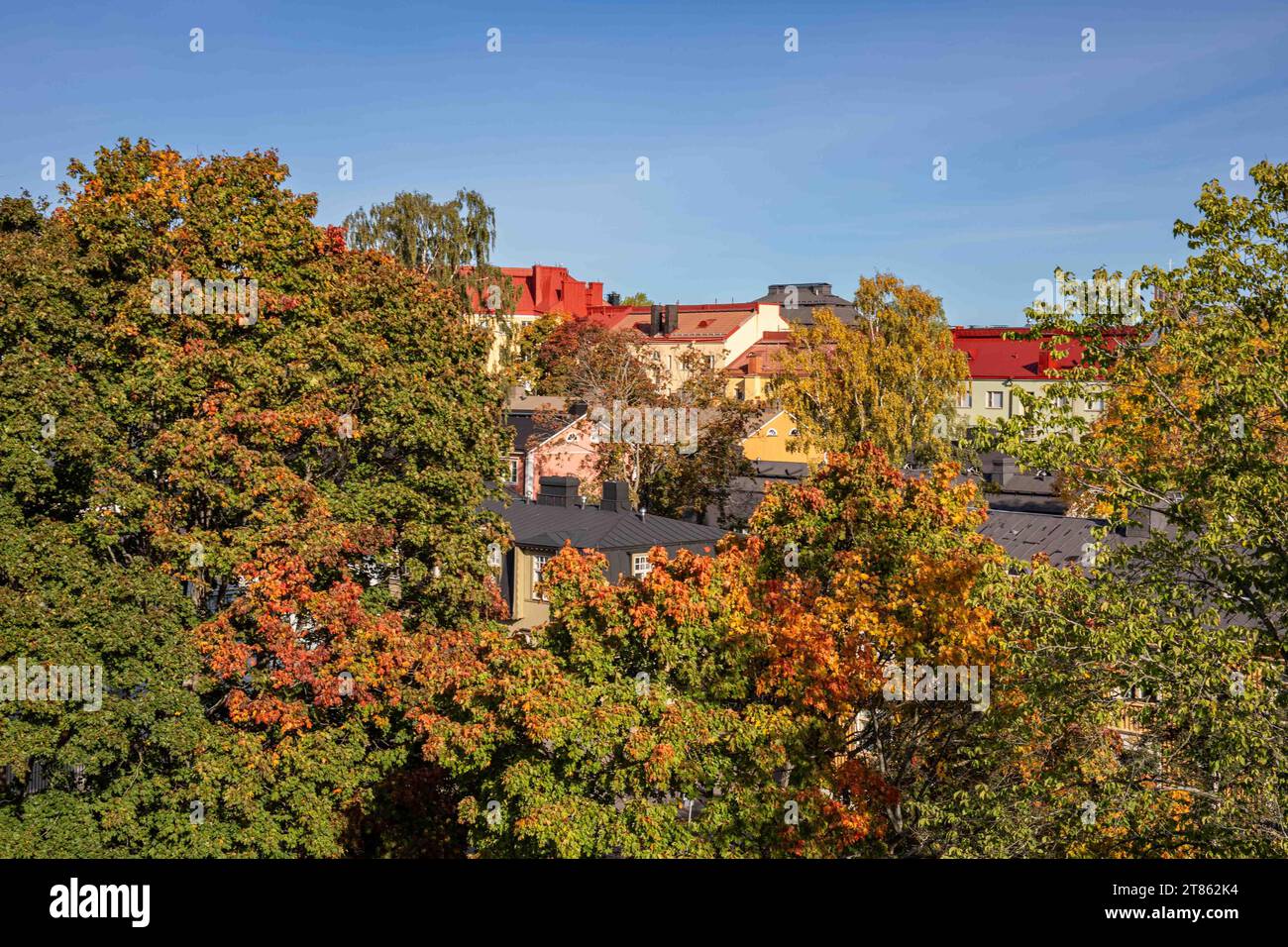 Colori autunnali nel quartiere Puu-Vallila di Helsinki, Finlandia Foto Stock