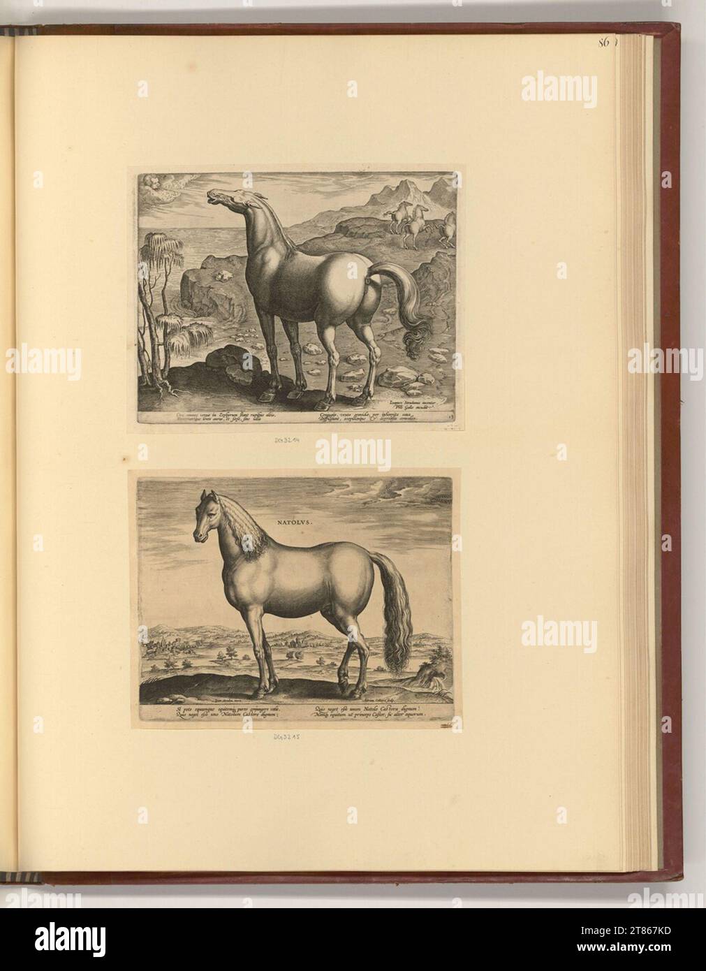 Cavalli Adriaen Collaert (incisore). Stampa con incisione in rame intorno al 1580 Foto Stock