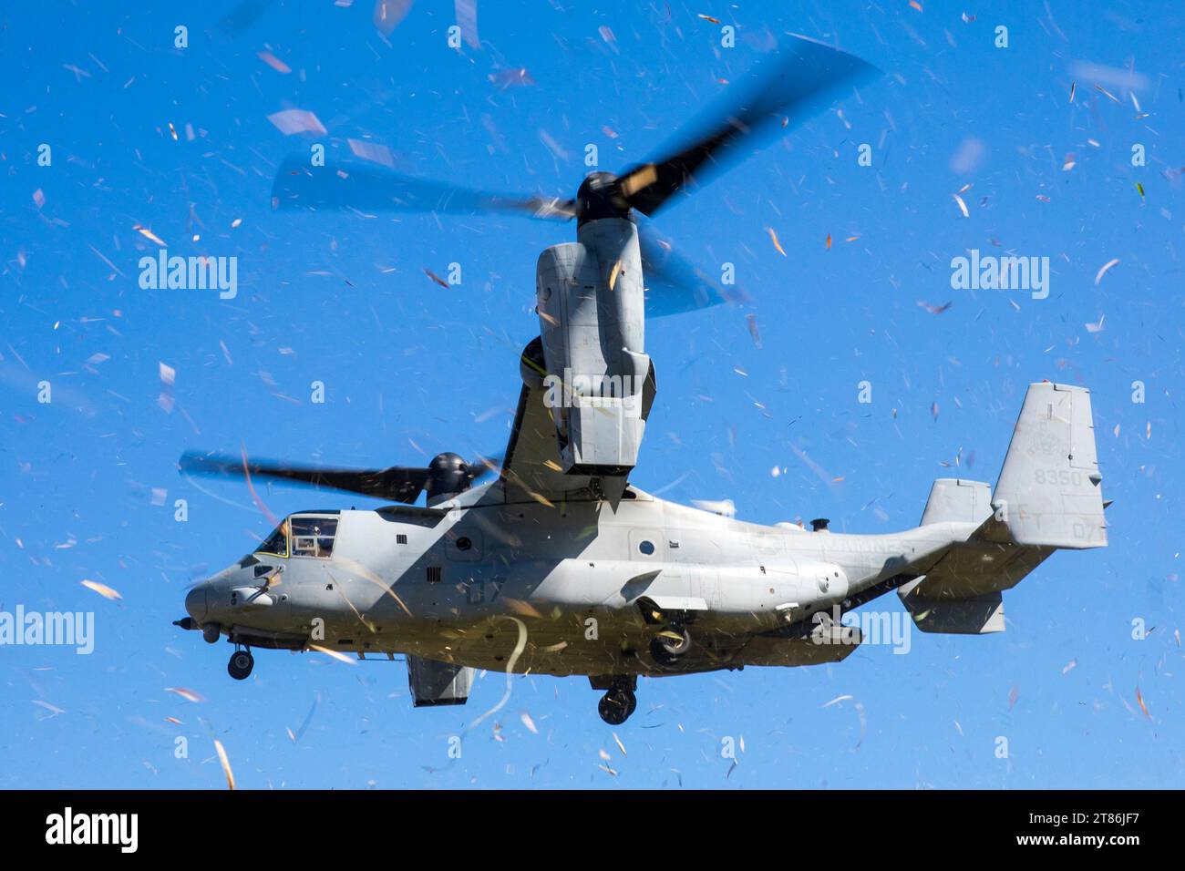 Oita, Giappone. 22 ottobre 2023. Un velivolo tiltrotor Osprey del corpo dei Marines USA MV-22B con Marine Medium Tiltrotor Squadron (VMM) 262, Marine Aircraft Group 36, 1st Marine Aircraft Wing, si prepara ad atterrare in un punto di armamento e rifornimento in avanti durante l'esercitazione sul campo di Resolute Dragon 23 al JGSDF Camp Jumonjibaru, prefettura di Oita, Giappone, 22 ottobre 2023. RD 23 è un'esercitazione bilaterale annuale in Giappone che rafforza le capacità di comando, controllo e manovra multidominio dei Marines nella III Marine Expeditionary Force e del personale alleato della Japan Self-Defense Force. (Credito Foto Stock