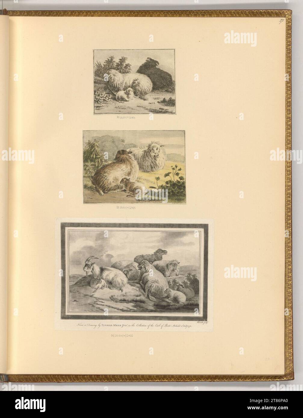Henricus Spilman (incisore) giace pecore, capre e agnelli. Incisione, colorata; Crayonmanner; tono piatto 1740-1810 , 1740/1810 Foto Stock