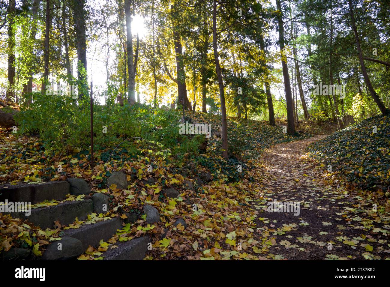 Un sentiero nel parco pubblico in autunno Foto Stock