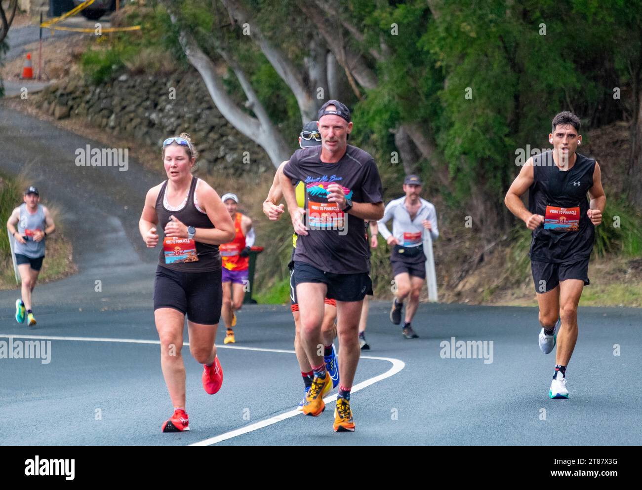 Concorrenti nella gara annuale Point to Pinnacle una mezza maratona, dal Wrest Point Casino alla vetta del kunanyi/Mount Wellington a Hobart, Tasmania, 19 novembre 2023 Foto Stock