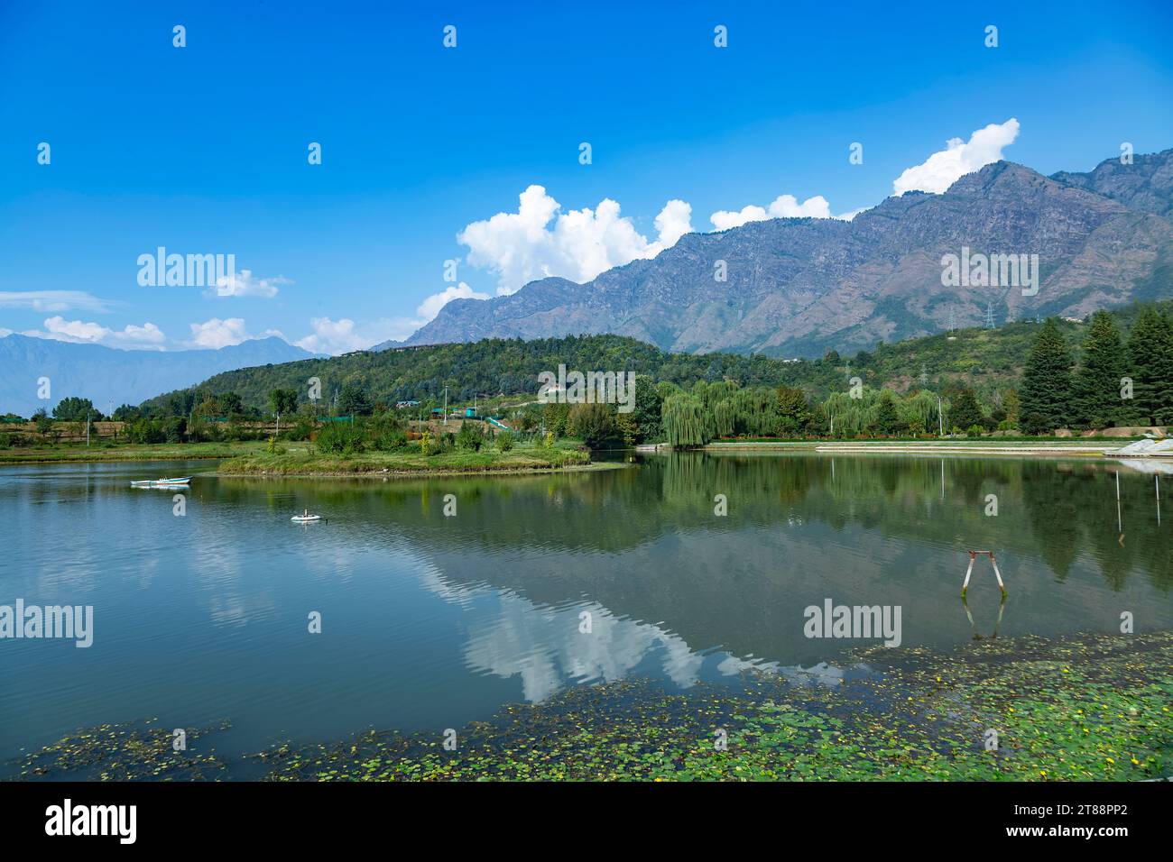 Splendido lago nei giardini botanici Jawaharlal Nehru Memorial di Srinagar, Jammu, Kashmir, India, Asia Foto Stock