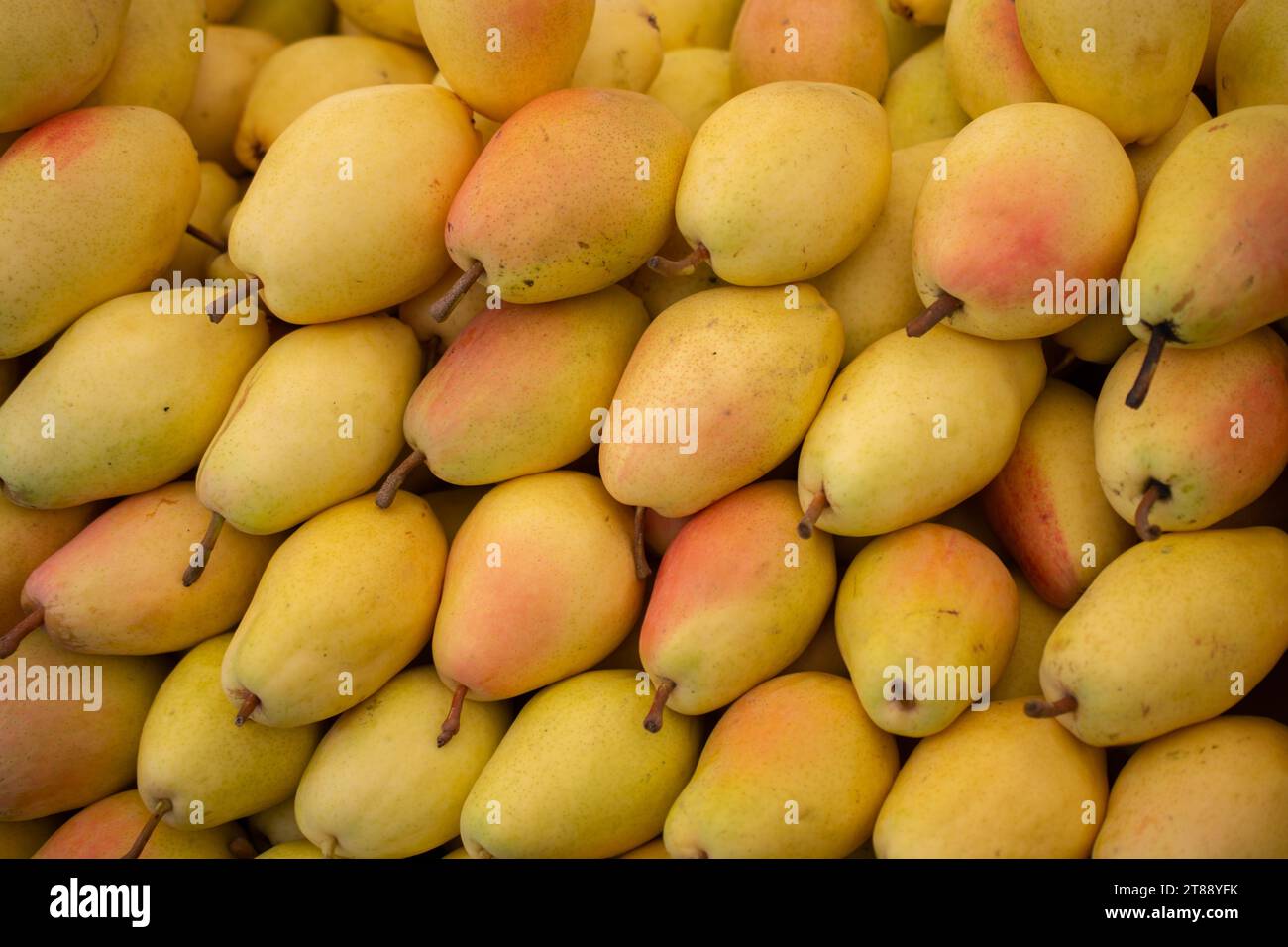 Mercato biologico pere fresche su un mercato agricolo. Immagine di pere di prodotti a base di frutta Foto Stock