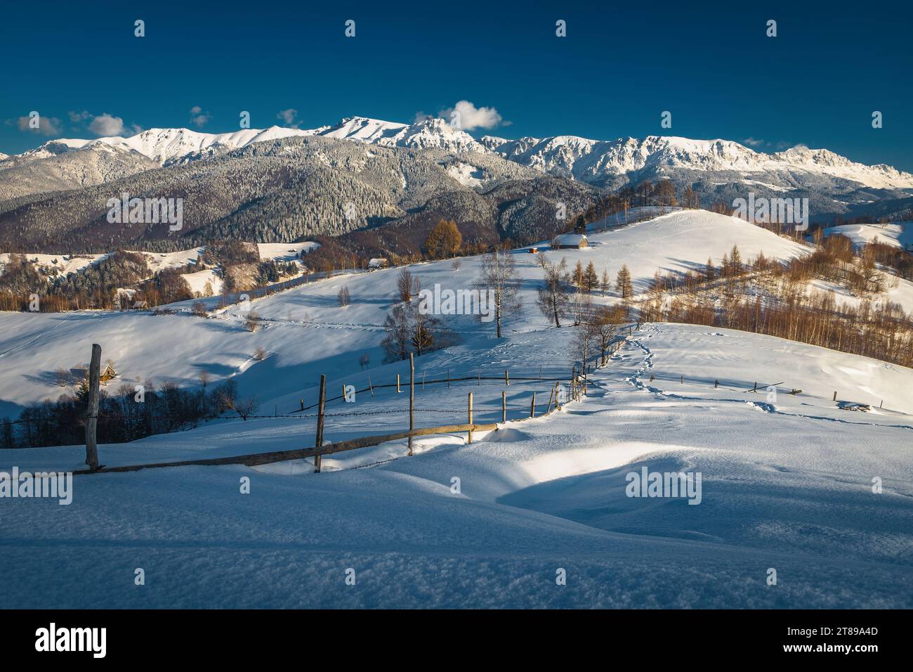 Splendido paesaggio invernale con piste innevate e pittoresche montagne sullo sfondo, montagne Bucegi, Carpazi, Romania, Europa Foto Stock