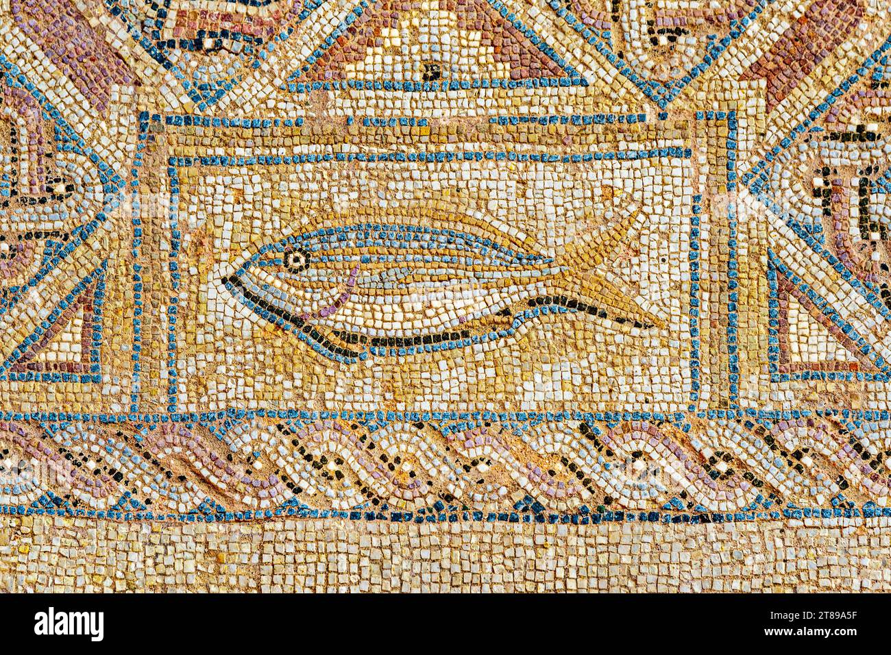 Frammento di mosaico raffigurante pesci nella casa di Eustolios (IV secolo), l'antica città di Kourion, vicino a Limassol, Episkopi, Cipro Foto Stock