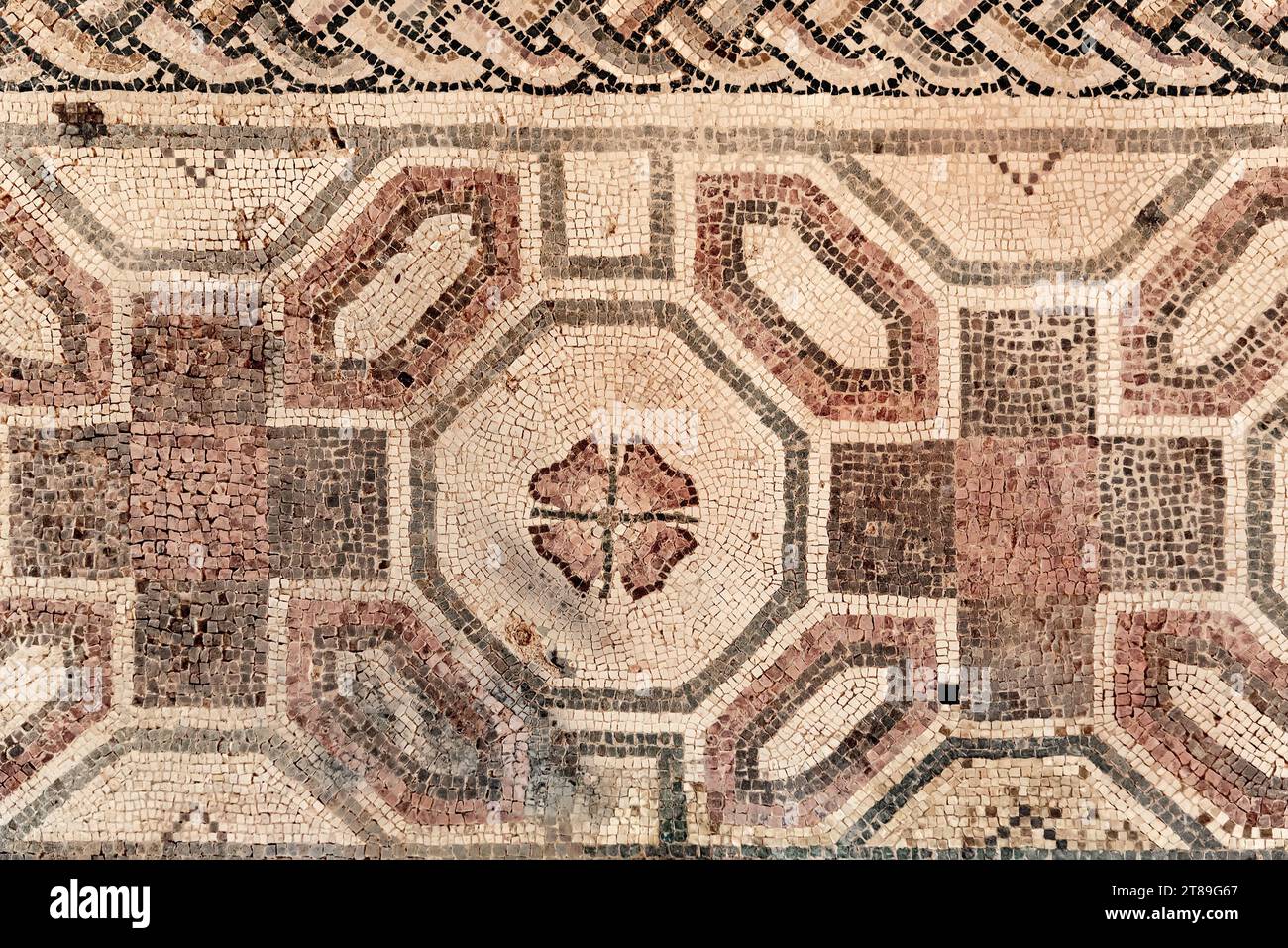 Antico mosaico sul pavimento della casa di Dioniso. Parco archeologico di Paphos. Cipro. Foto Stock