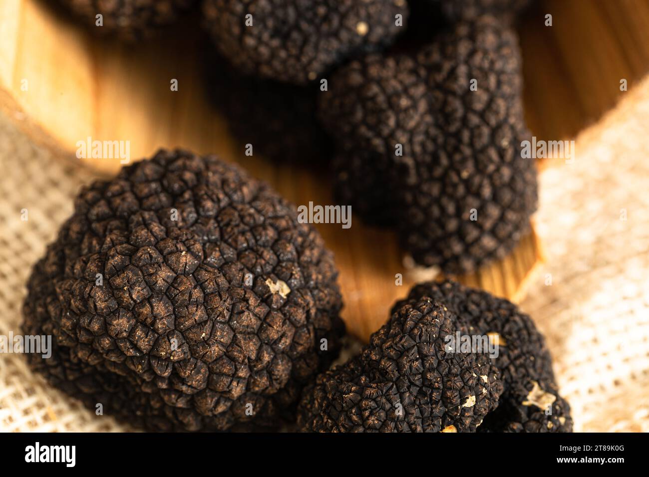 Cattura il fascino del tartufo nero fresco con questo primo piano, che mostra la squisita consistenza e l'aroma di questi tesori culinari Foto Stock