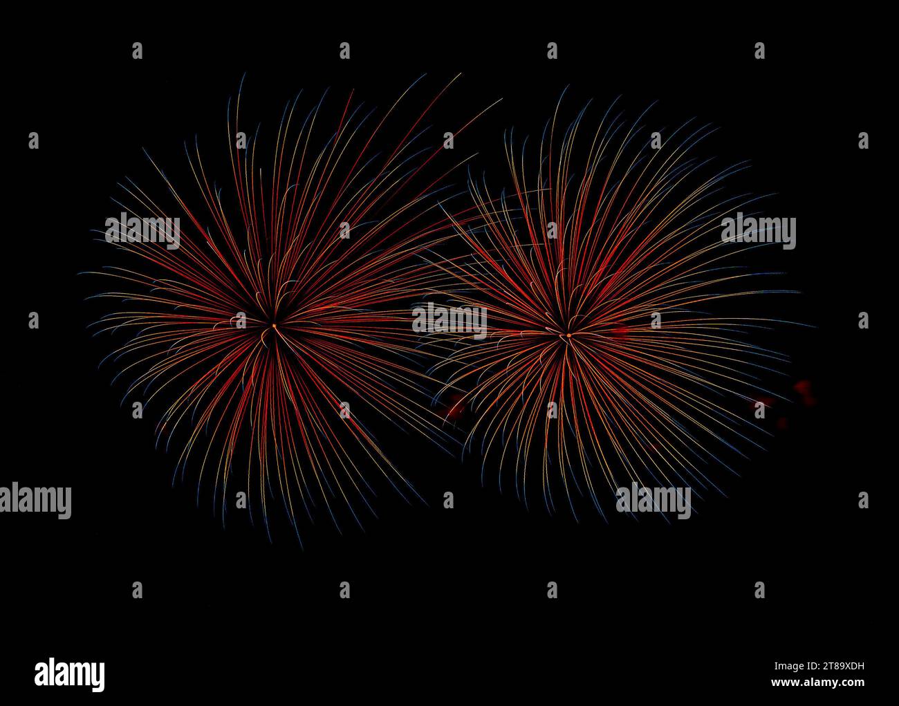 Fuochi d'artificio Grand Color Foto Stock