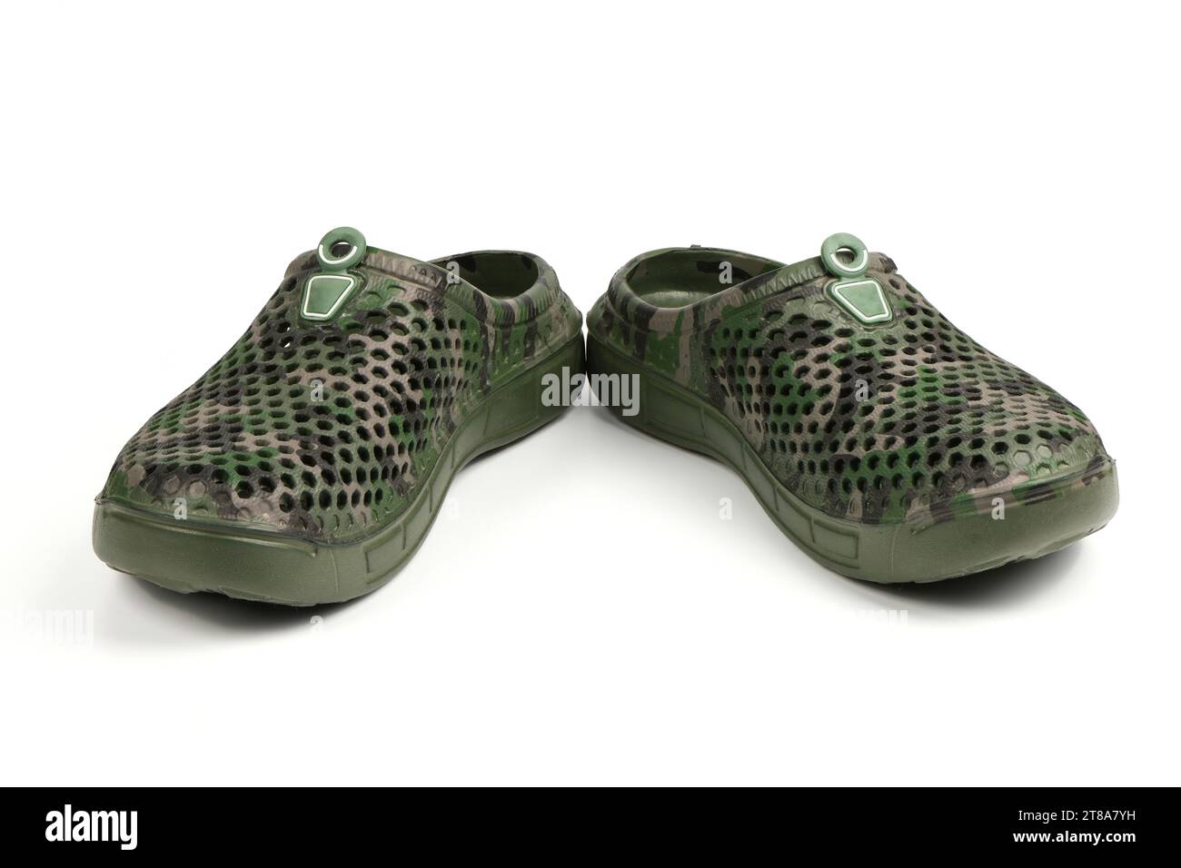 Coppia di galosci verdi scuri isolati su sfondo bianco. Scarpe per le giornate piovose. Foto ad alta risoluzione. Profondità di campo completa. Foto Stock