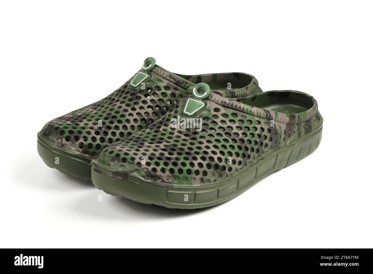 Coppia di galosci verdi scuri isolati su sfondo bianco. Scarpe per le giornate piovose. Foto ad alta risoluzione. Profondità di campo completa. Foto Stock