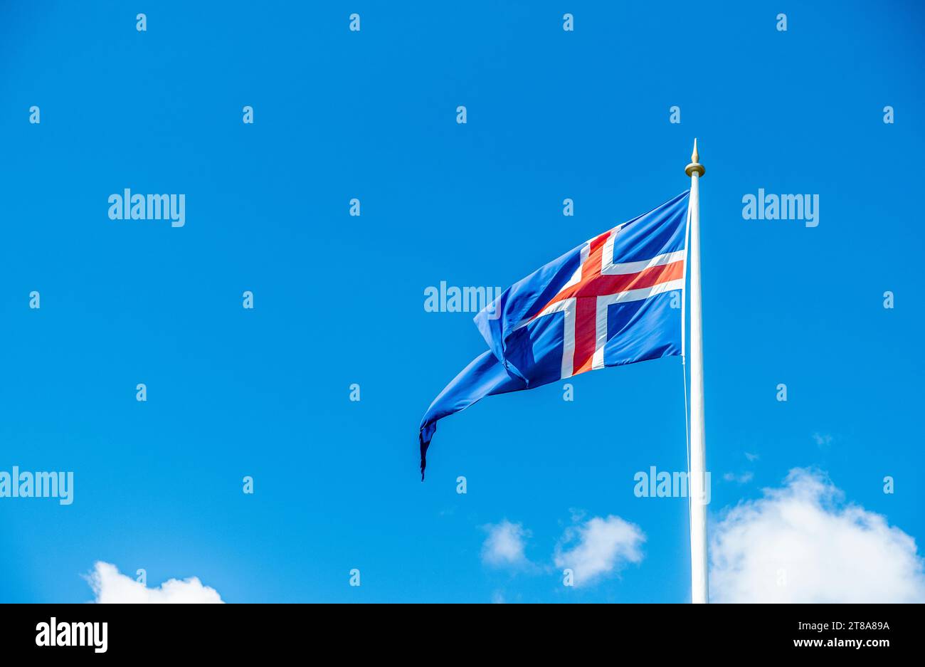 Bandiera ufficiale della nazione islandese, Parco Nazionale di Thingvellir, Islanda sudoccidentale - Islanda, Europa Foto Stock