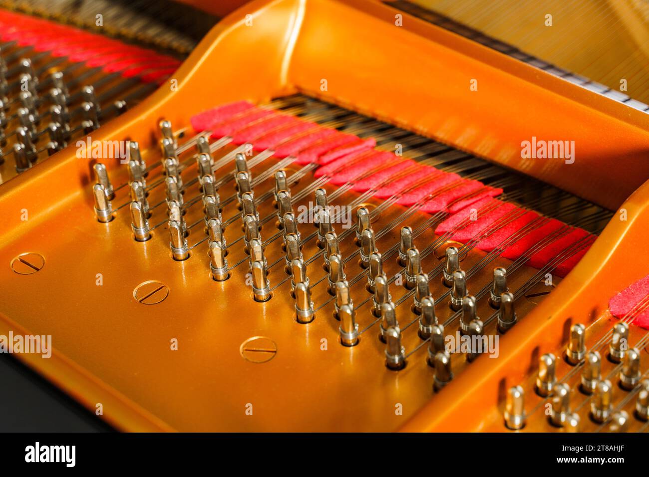 Dettagli interni del pianoforte a coda di lusso come martelli, corde e spille Foto Stock