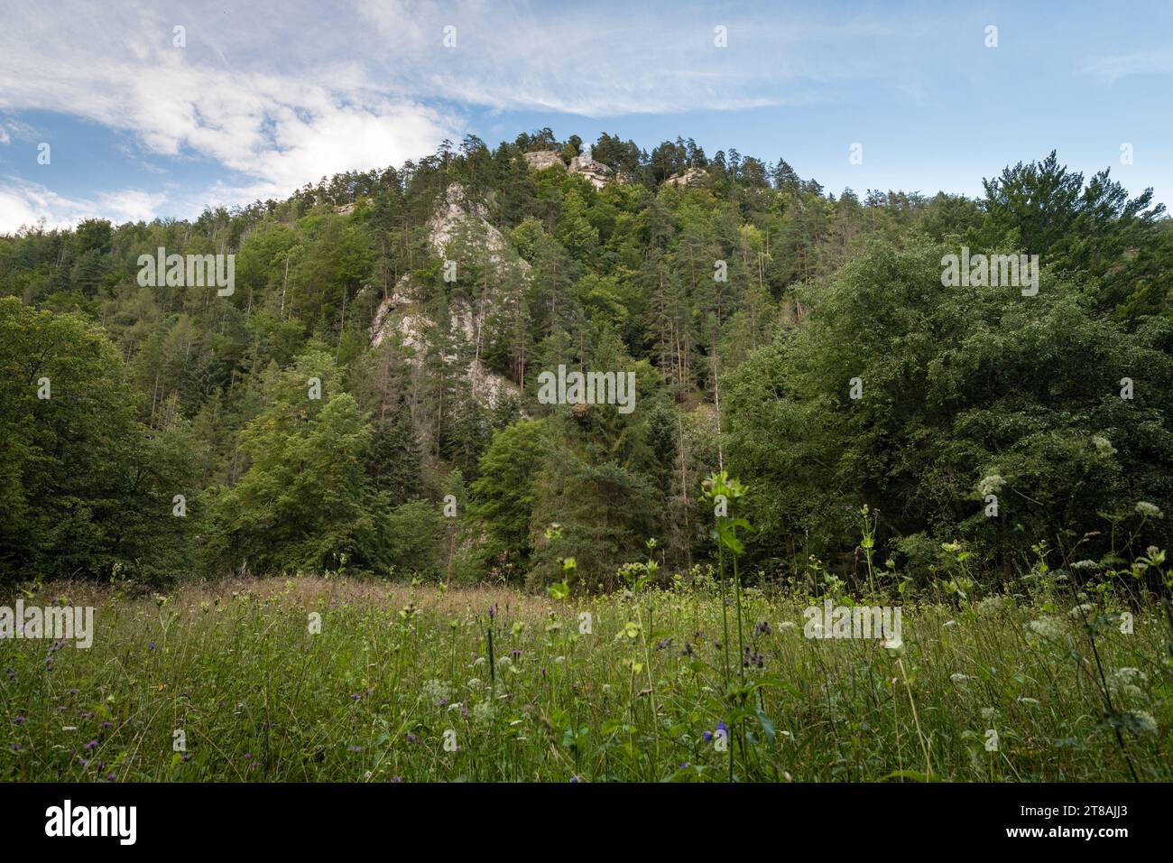 Prato sotto la vista panoramica di Tomas nel Parco Nazionale del Paradiso Slovacco, in Slovacchia Foto Stock