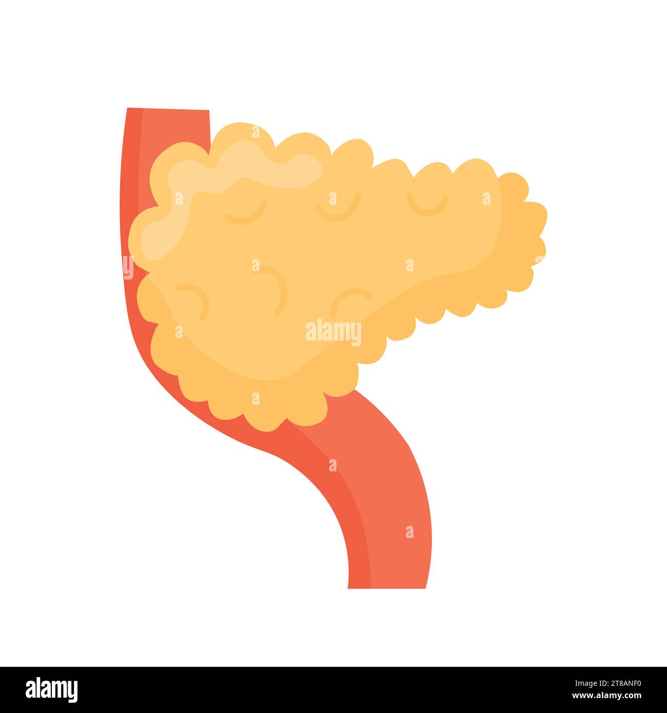 Corpo biologico del pancreas all'interno dell'illustrazione dell'organo. Concetto di salute e consapevolezza isolato. Illustrazione Vettoriale
