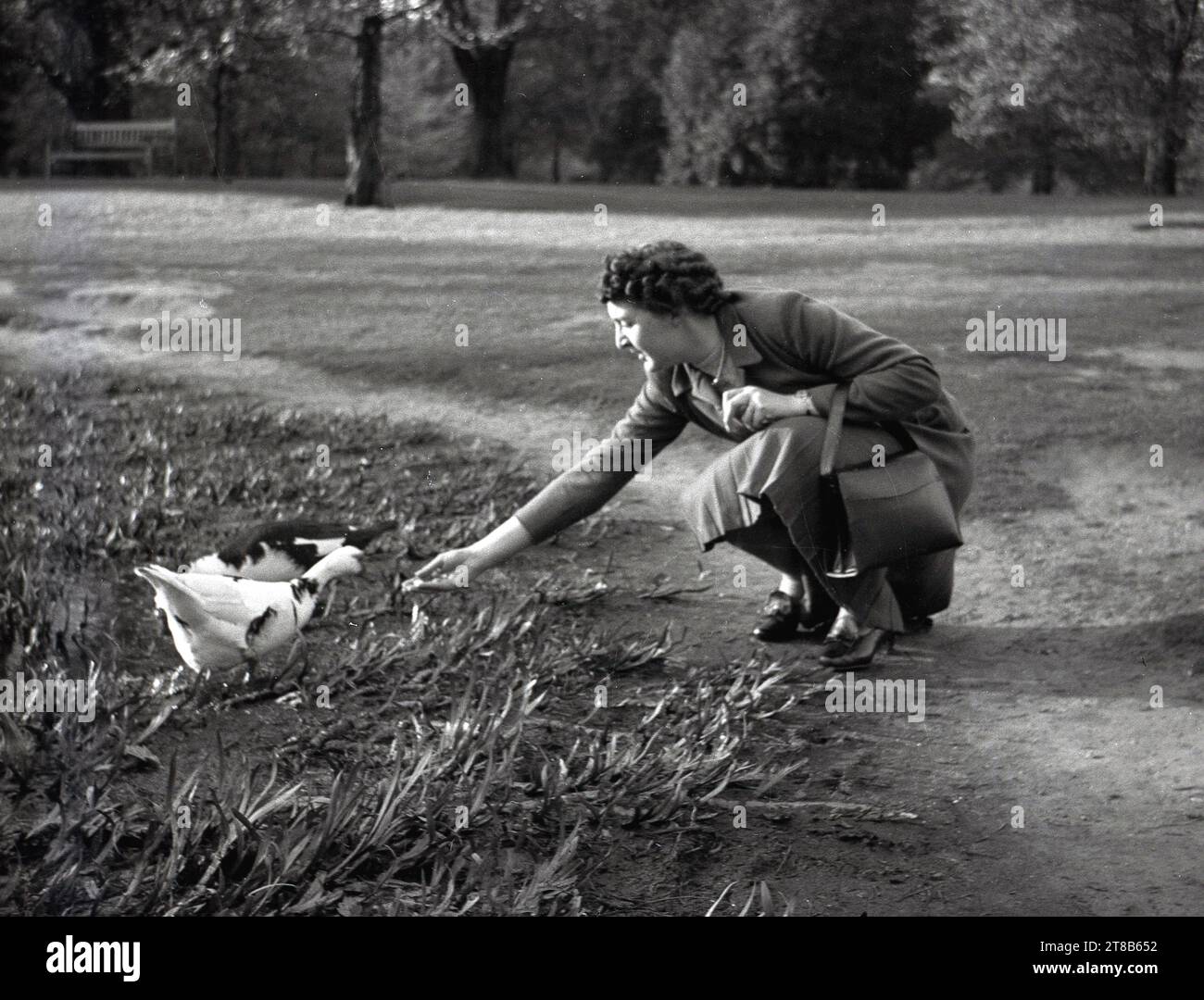 Anni '1950, storico, all'aperto in un parco, con una mano tesa, una giovane donna che offre un'anatra un piccolo boccone di cibo, Inghilterra, Regno Unito, Foto Stock