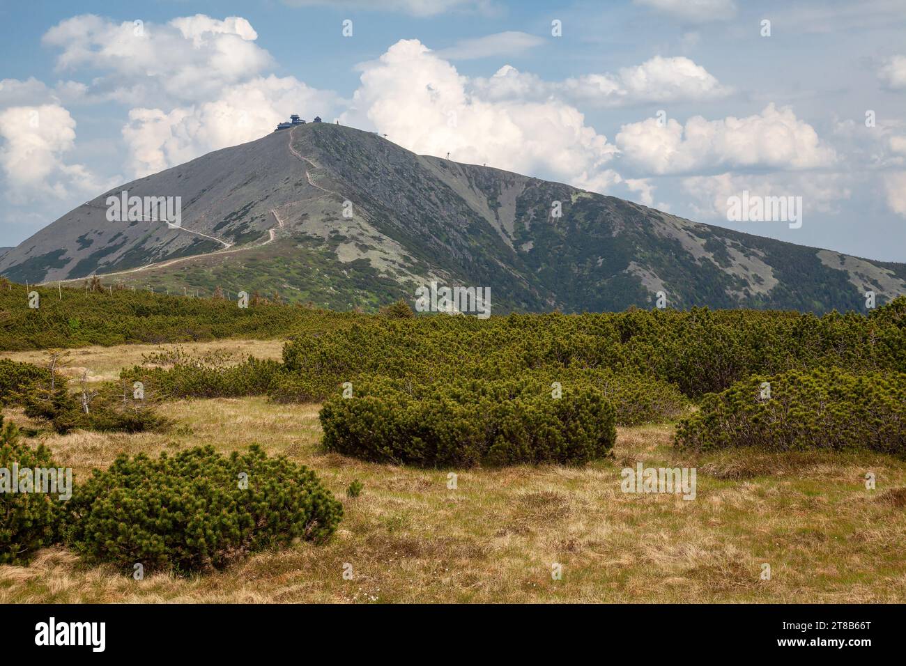 Paesaggio montano, montagne giganti, Snezka, paesaggio montano Foto Stock