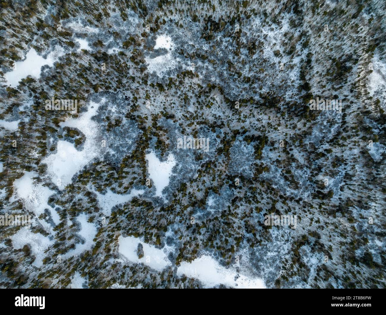 Vista aerea delle dune degli Orsi addormentati in inverno, Michigan Foto Stock