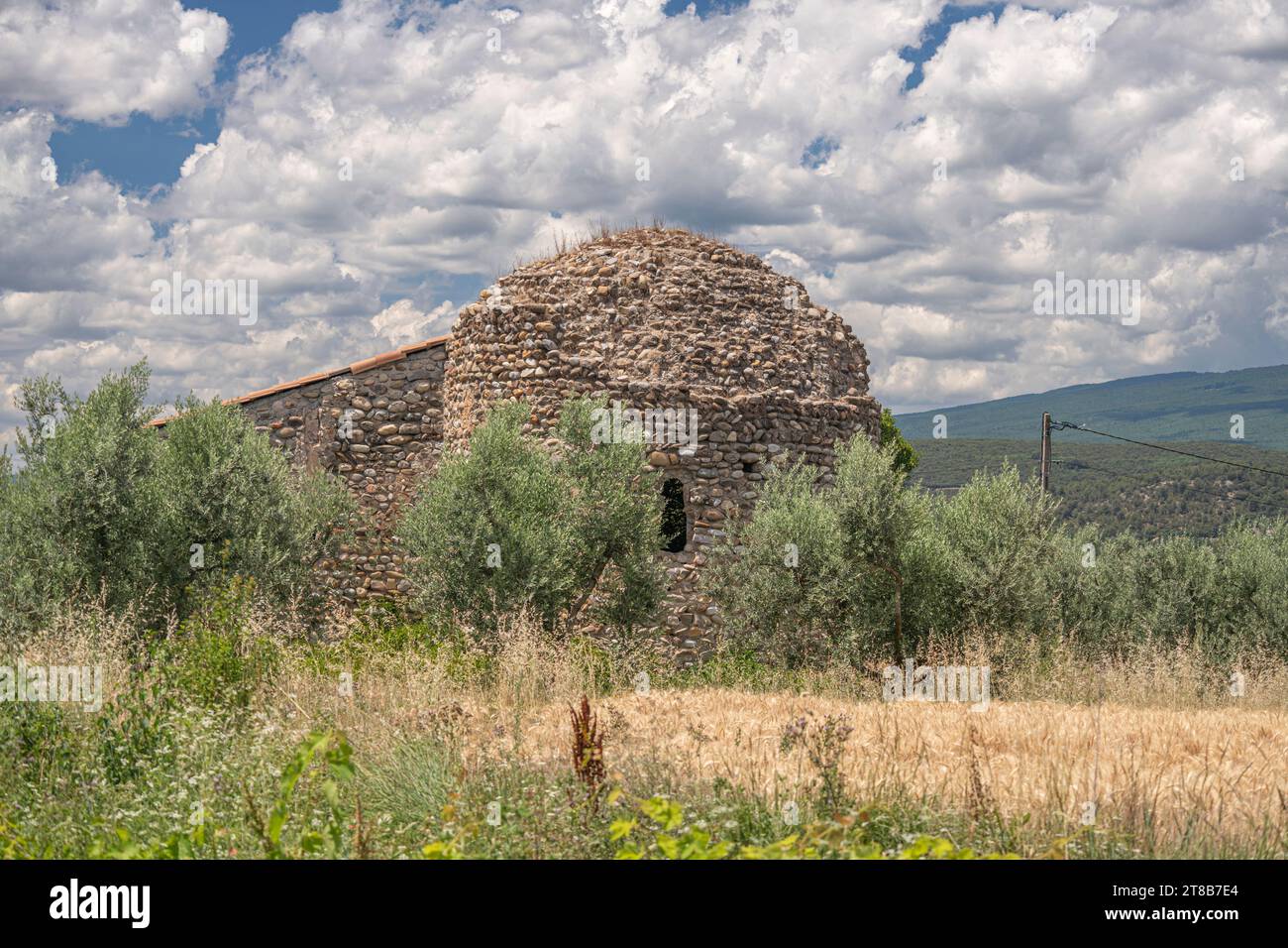 Singola apparentemente abbandonata rovina di un cottage in pietra nel mezzo di un campo agricolo e di ulivi Foto Stock