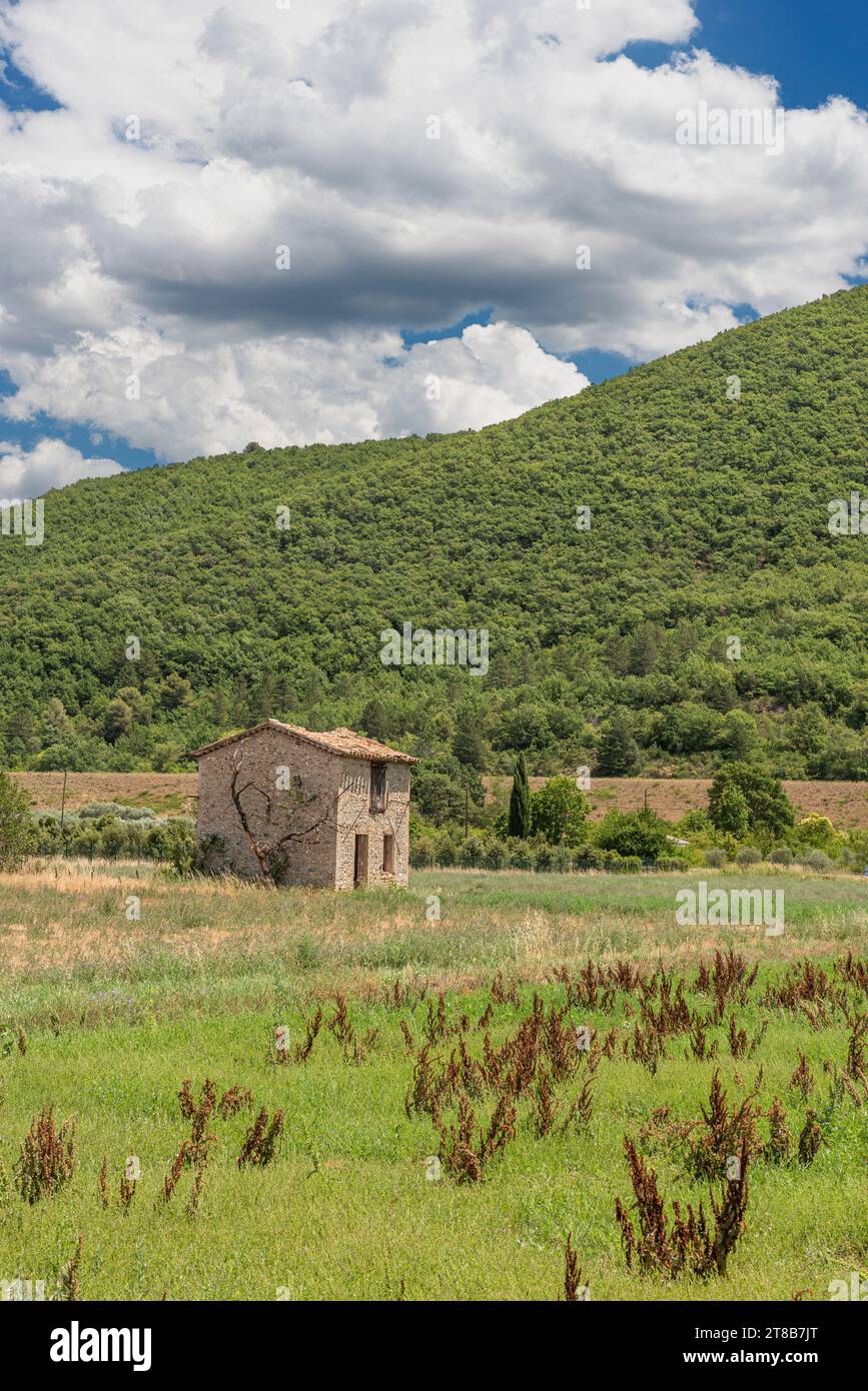 Un unico casale apparentemente abbandonato costruito in pietra nel mezzo di un campo agricolo rurale Foto Stock