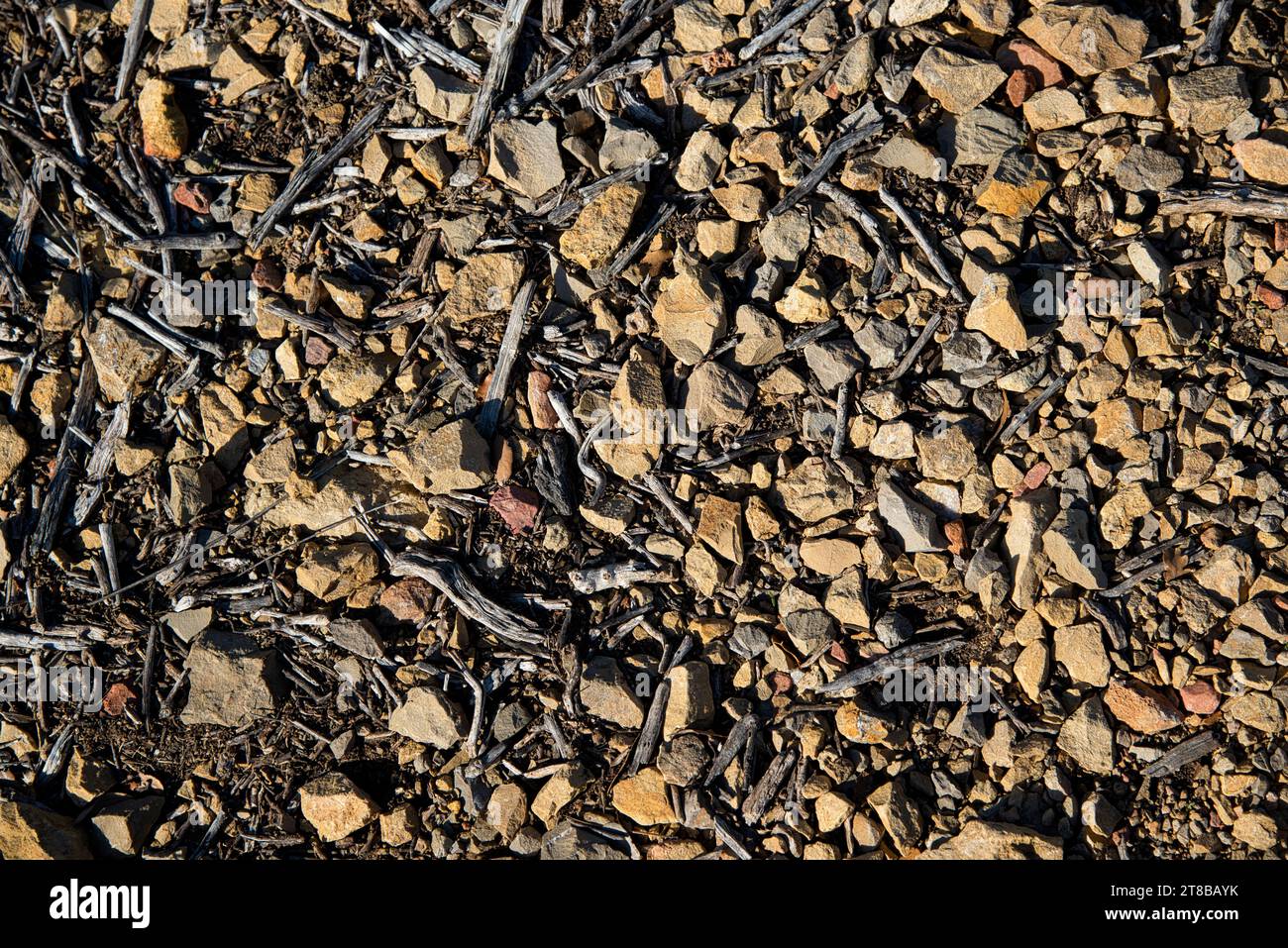 le sol dans les garrigues et les collines de provence montrant des débris végétaux et de bois et de petits cailloux concassés sur une terre seche et a Foto Stock