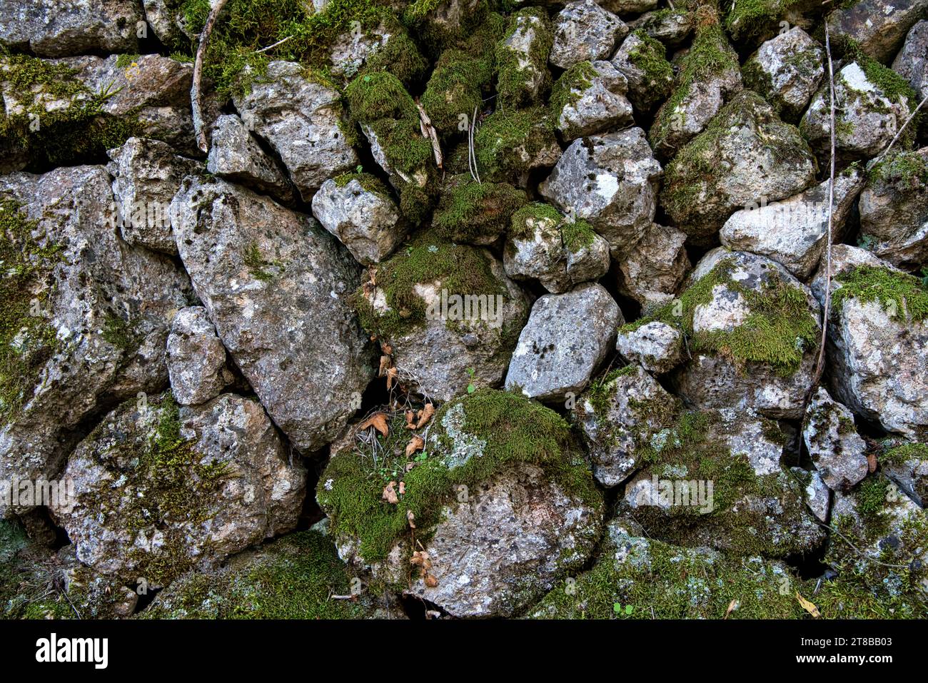 un mur de pierres seches dans les garrigues et les collines de provence éclairées par un soleil couchant d'automne / un muro di pietra a secco nei garrigues Foto Stock