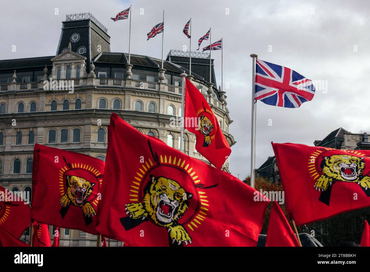 Londra, Regno Unito. 19 novembre 2023 i Tamil britannici si riuniscono a Trafalgar Square, portando bandiere Tamil Tiger e radunando per un'elam Tamil indipendente. © Simon King/ Alamy Live News Foto Stock