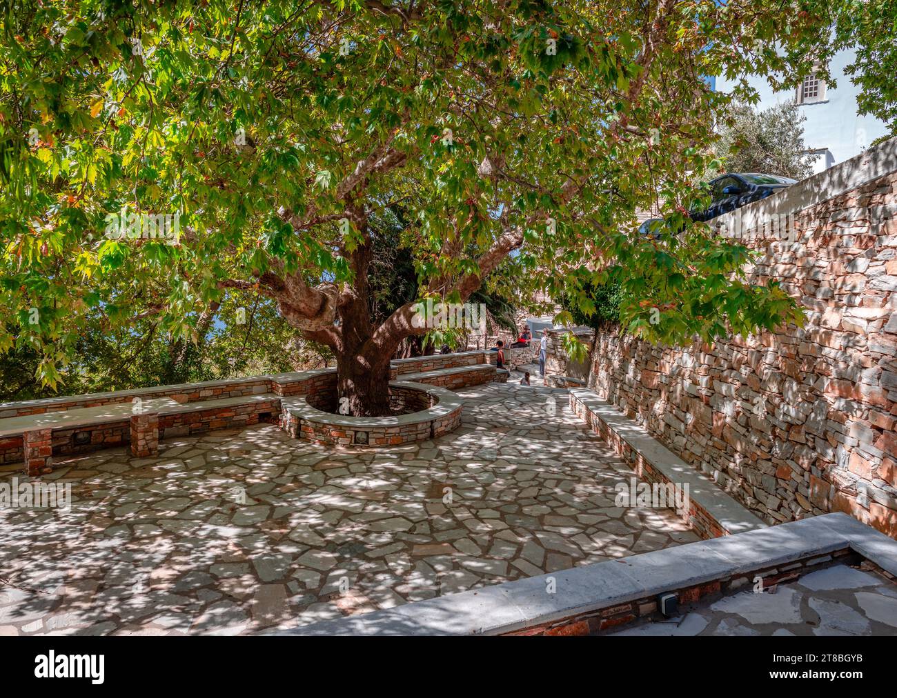 Una piccola piazza pittoresca con un enorme vecchio albero di pianura nel villaggio di Kardiani, Tinos, Cicladi, Grecia. Foto Stock