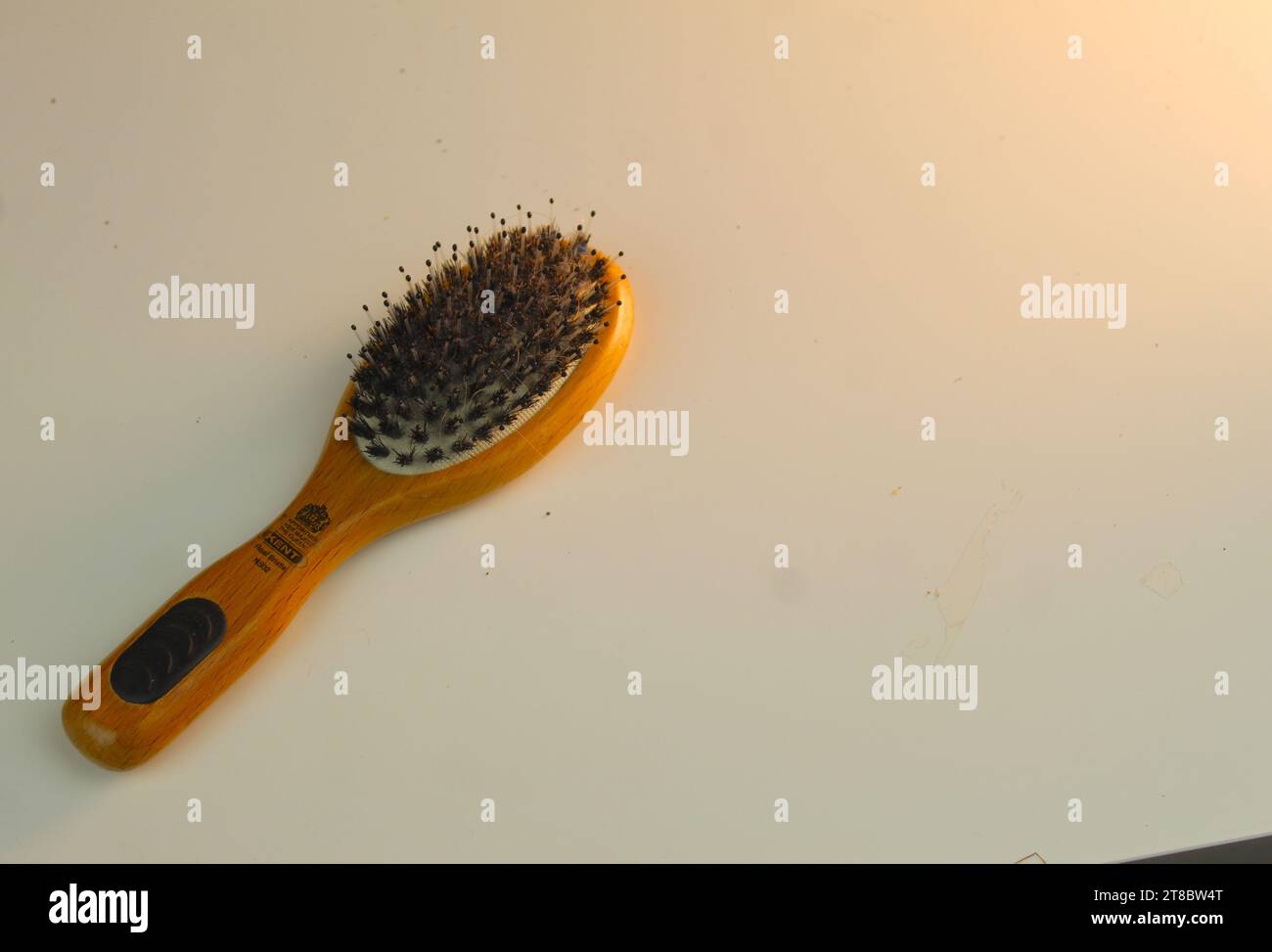 Una foto ad angolo elevato di una spazzola di legno su una scrivania bianca. Foto Stock