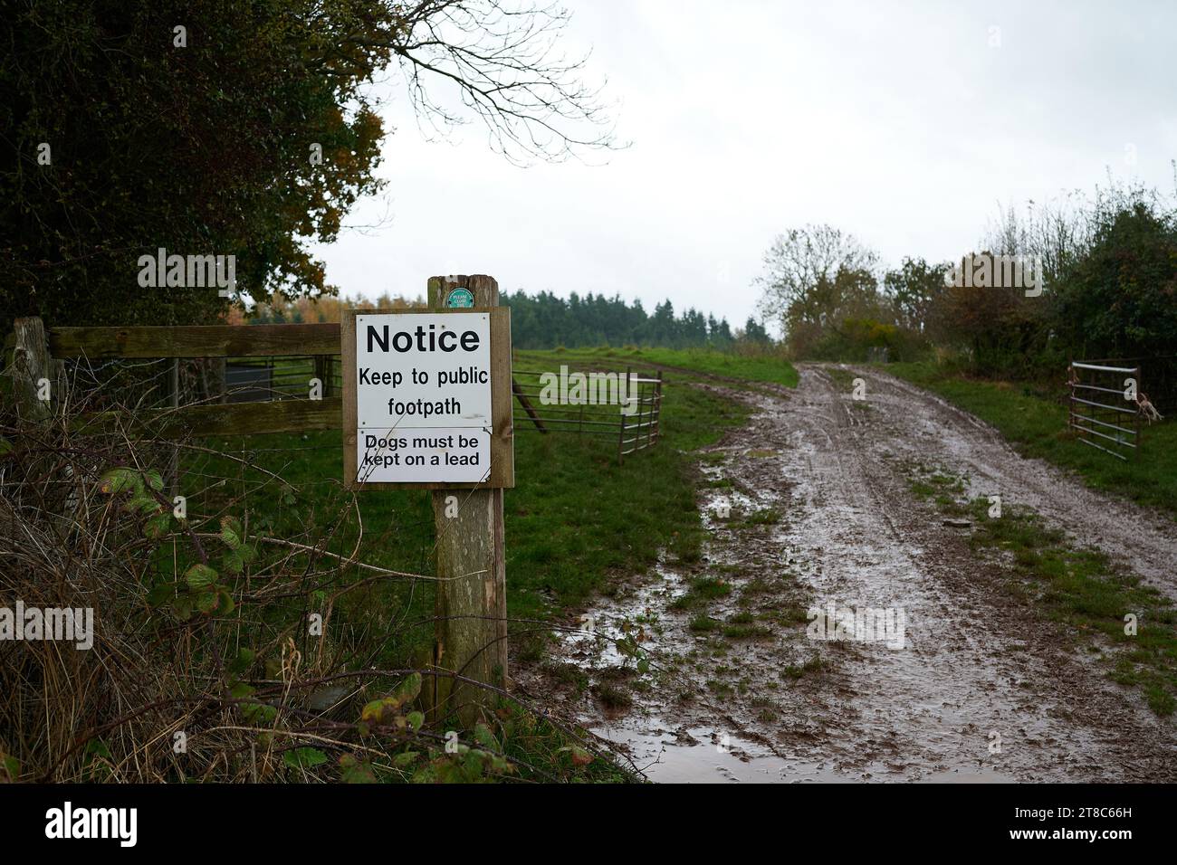 18 nov 2023 - Herefordshire Regno Unito: Seguite il sentiero e il cane deve essere su un cartello al guinzaglio nella campagna britannica nel giorno di nuvolamento in inverno Foto Stock