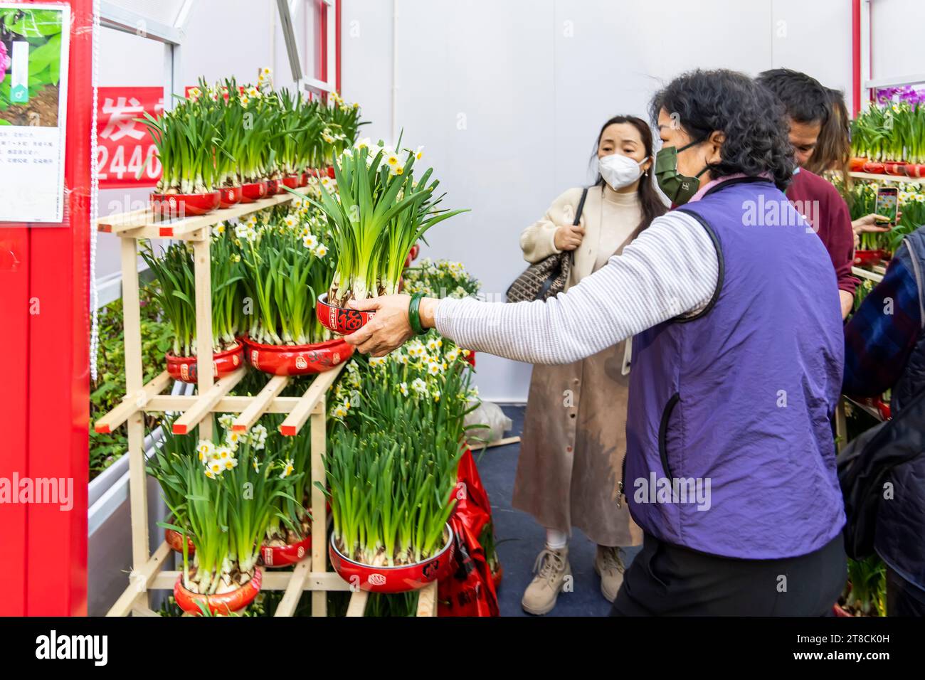SHEN ZHEN, CINA - 19 gennaio 2023: La gente fa shopping di fiori per il capodanno cinese a Shenzhen Spring Festival Flower Fair Foto Stock