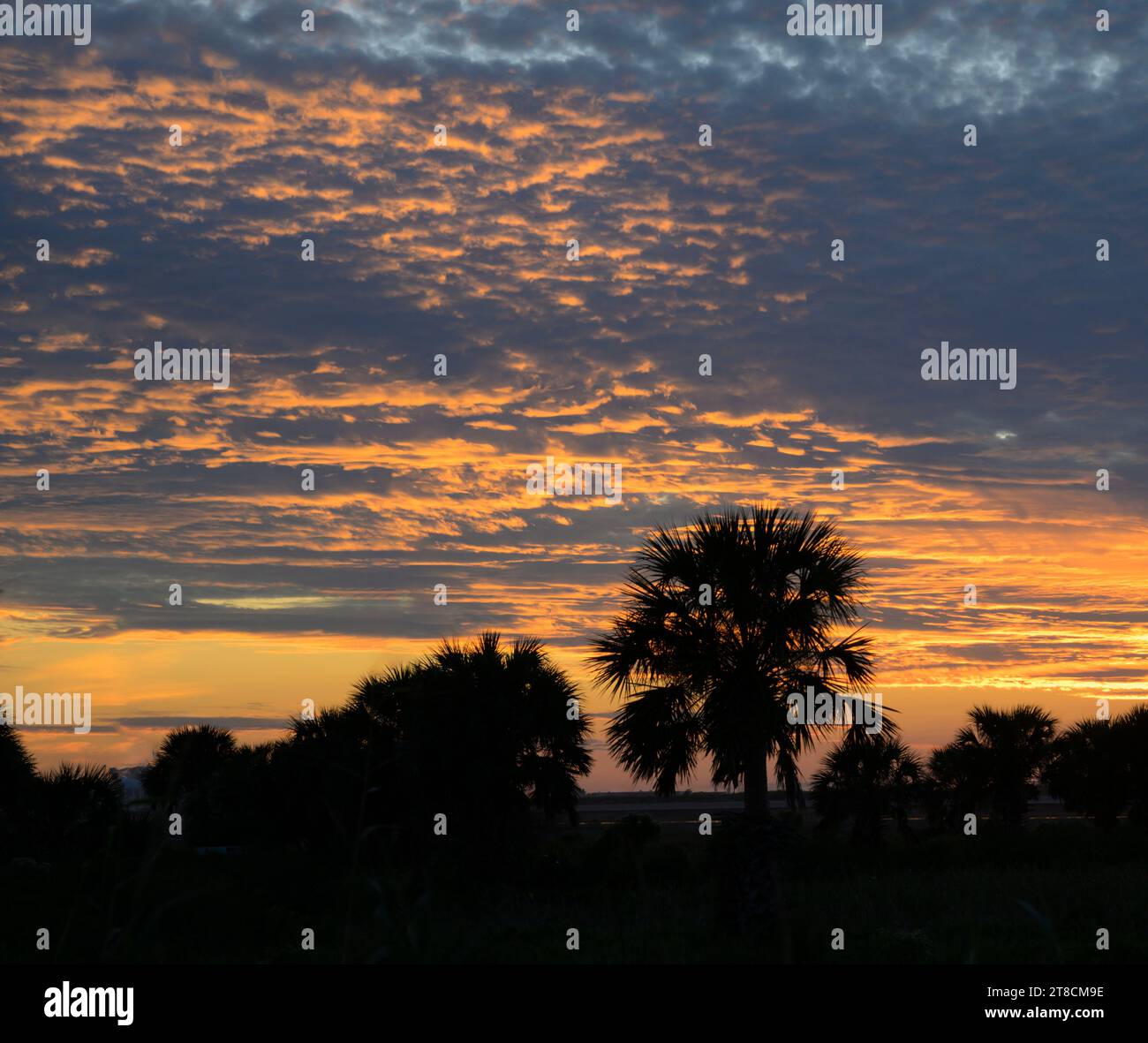 Cielo al tramonto sulle paludi del Texas lungo il Golfo del Messico, con le nuvole altocumulus e cirrocumulus Galveston, Texas, Stati Uniti. Foto Stock