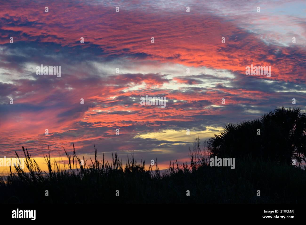 Cielo al tramonto sulle paludi del Texas lungo il Golfo del Messico, con le nuvole altocumulus e cirrocumulus Galveston, Texas, Stati Uniti. Foto Stock