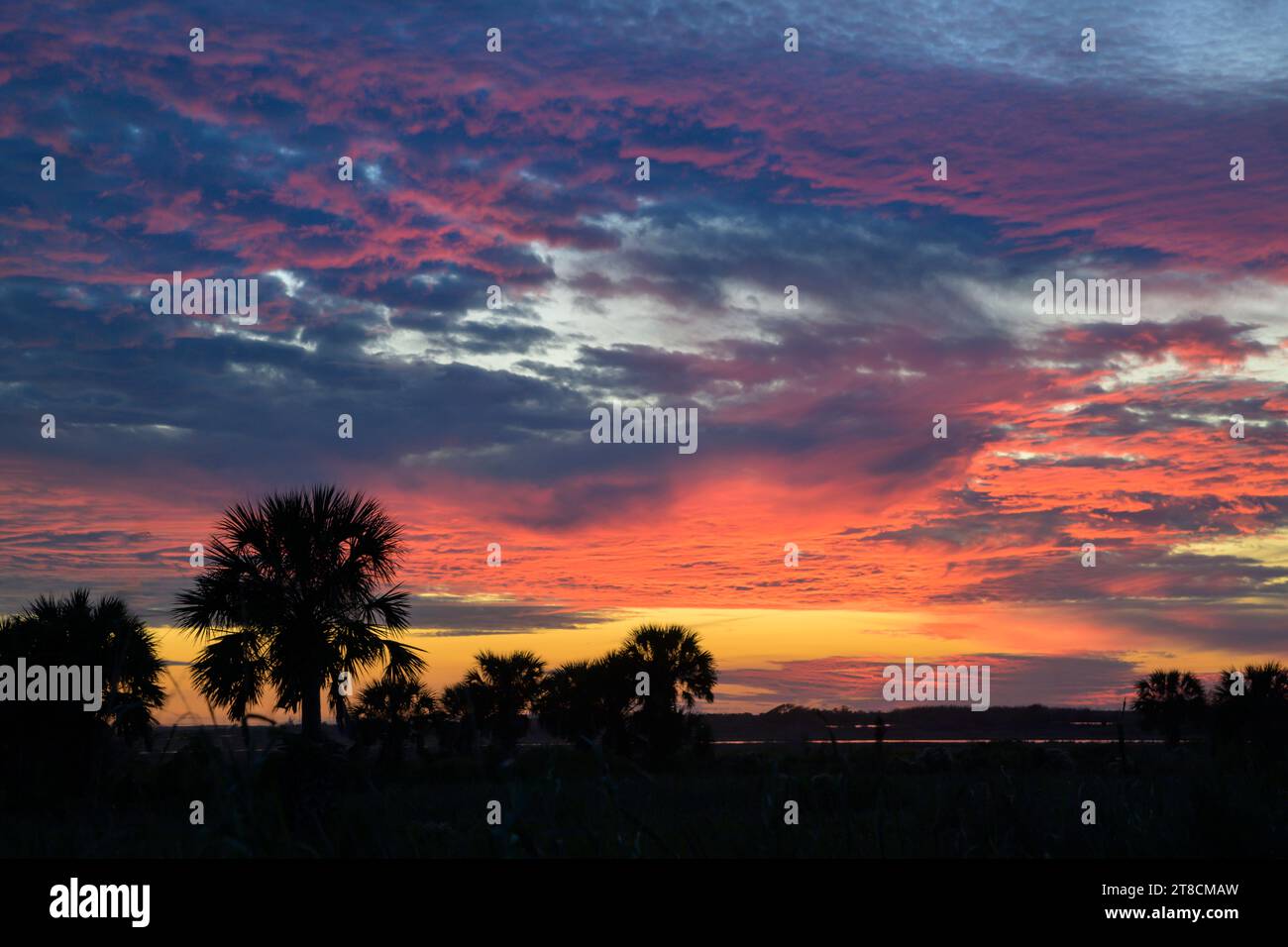 Cielo al tramonto sulle paludi del Texas lungo il Golfo del Messico, con le nuvole altocumulus e cirrocumulus Galveston, Texas, Stati Uniti. Foto Stock