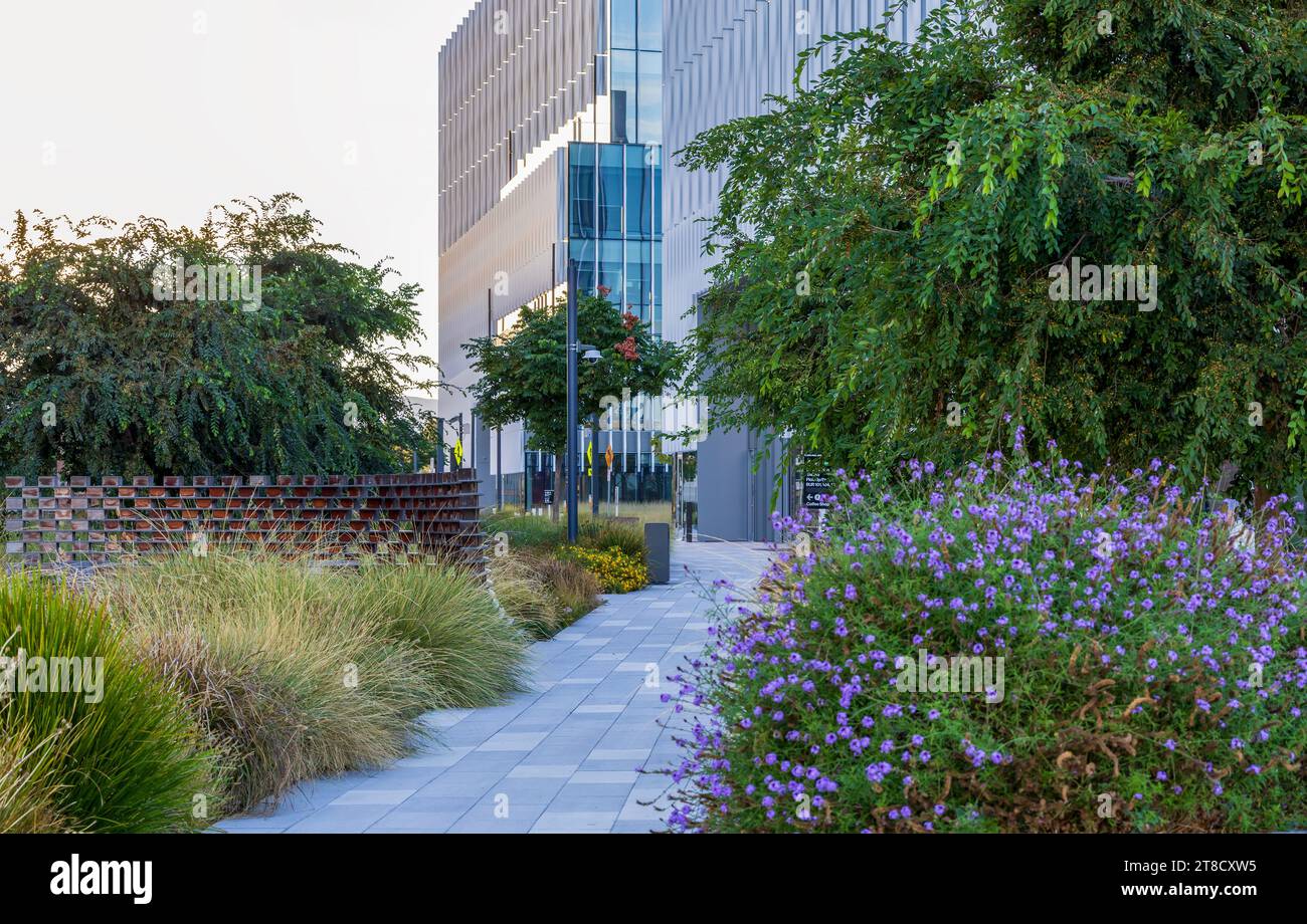 Architettura moderna a Burlingame, California. Area relax di fronte all'edificio degli uffici Foto Stock