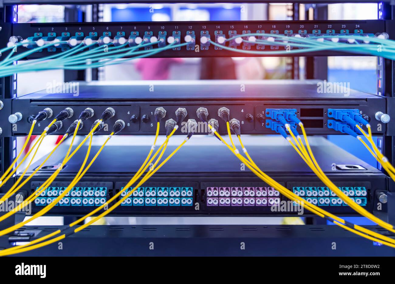 Cavo ottico collegato al patch panel Foto Stock