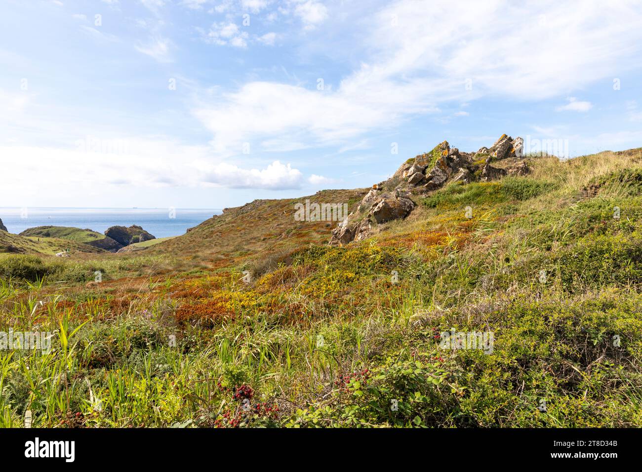 Kynance Cove Cornovaglia, paesaggio intorno a Kynance Cove e proprietà fiduciaria nazionale, Cornovaglia, Inghilterra, Regno Unito, 2023 Foto Stock