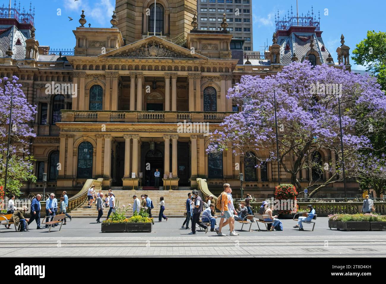 Sydney, nuovo Galles del Sud, Australia - 11 ottobre 2022: I pedoni camminano davanti al Municipio di Sydney e a un albero di jacaranda fiorito, George St Foto Stock