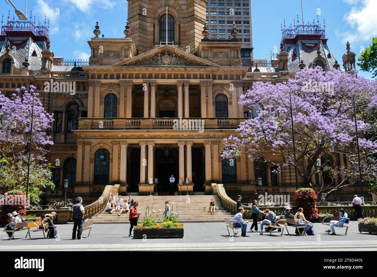 Sydney, nuovo Galles del Sud, Australia - 11 ottobre 2022: I pedoni camminano davanti al Municipio di Sydney e a un albero di jacaranda fiorito, George St Foto Stock