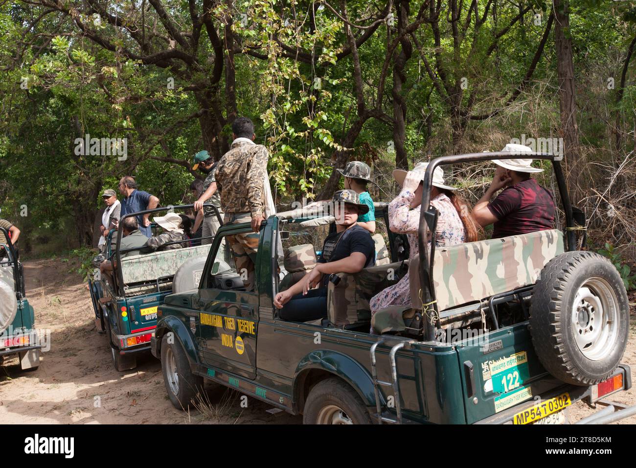 Turisti indiani in un safari nella giungla Foto Stock