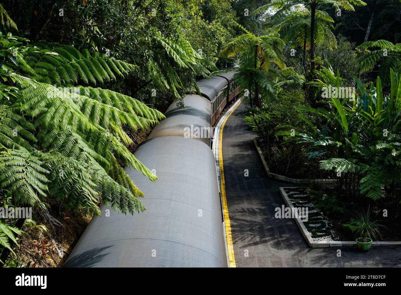 Il treno a vapore Kuranda Scenic Railway, circondato dalla foresta pluviale, si trova alla banchina della stazione in attesa dei passeggeri per il viaggio di ritorno a Cairns Foto Stock