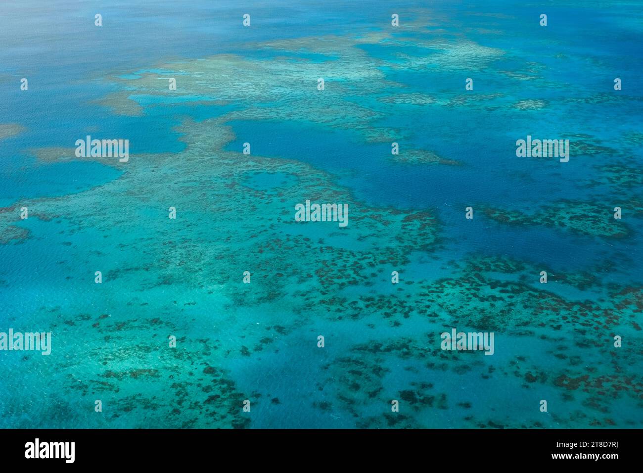 Una vista aerea della barriera corallina, dei bar di sabbia bianca, delle isole tropicali e delle limpide acque turchesi della grande Barriera Corallina: Mar dei Coralli, Cairns Foto Stock
