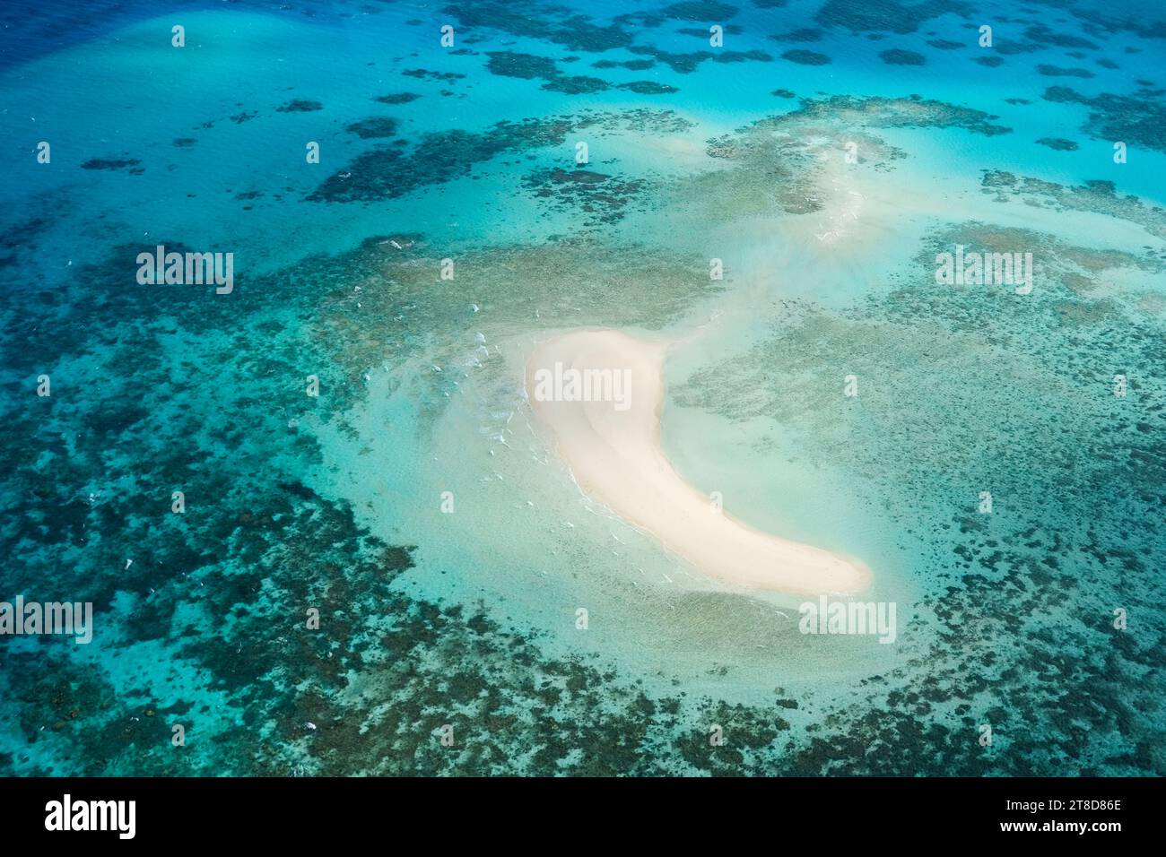 Una vista aerea di Michaelmas Cay nella grande Barriera Corallina: Barra di sabbia bianca tropicale, barriere coralline, acque cristalline turchesi, Mare dei Coralli, Cairns Foto Stock