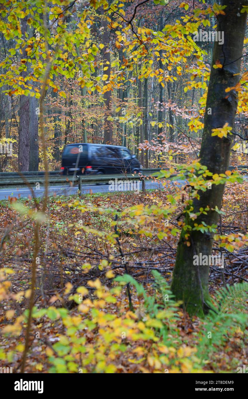 Uckermark GER, Deutschland, 20231119, Herbst in der Uckermark, *** Uckermark GER, Germania. , . Autumn in the Uckermark, Credit: Imago/Alamy Live News Foto Stock