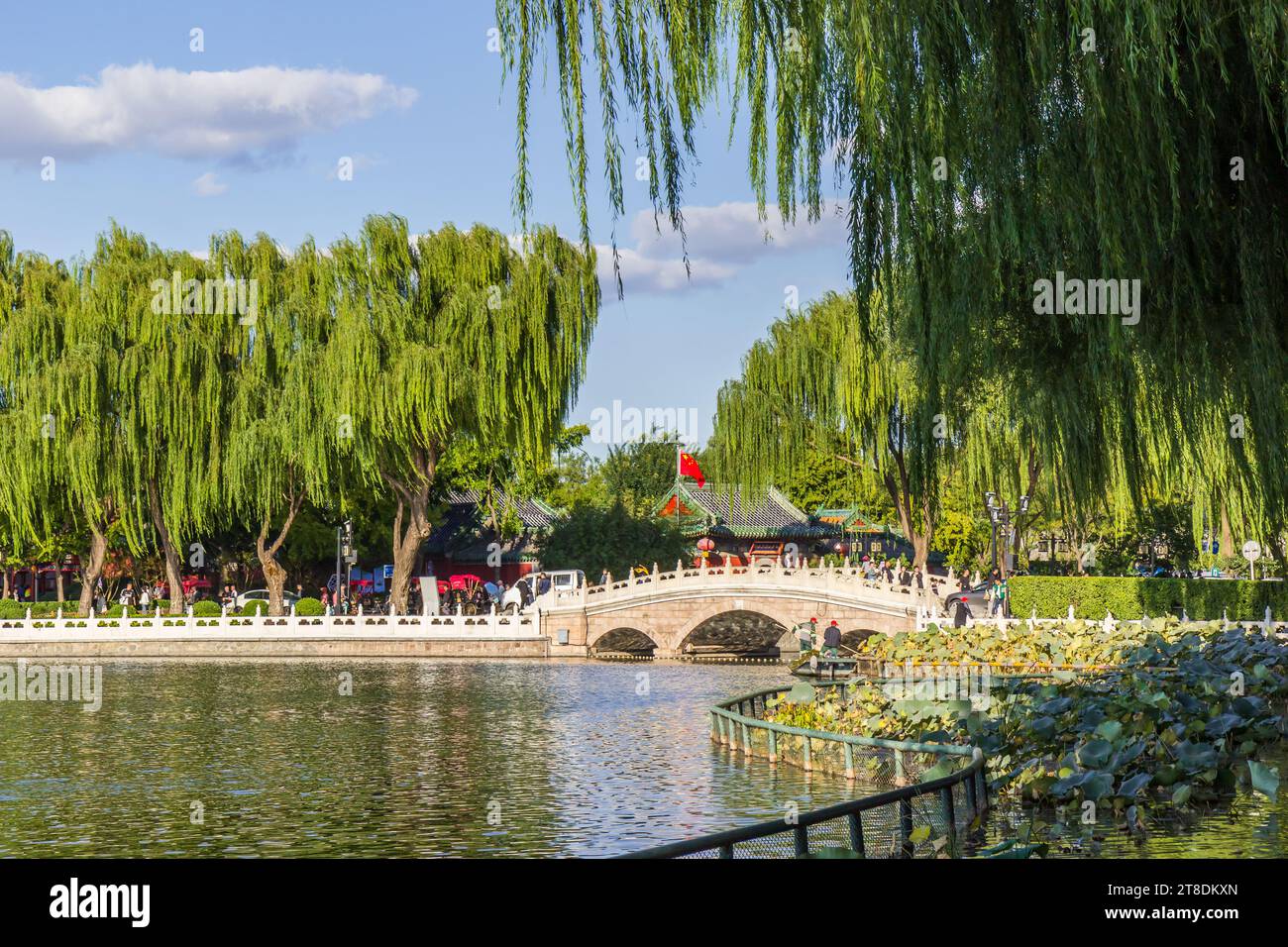 Alberi di salice e foglie di loto al ponte nel lago Qianhai a Pechino, in Cina Foto Stock