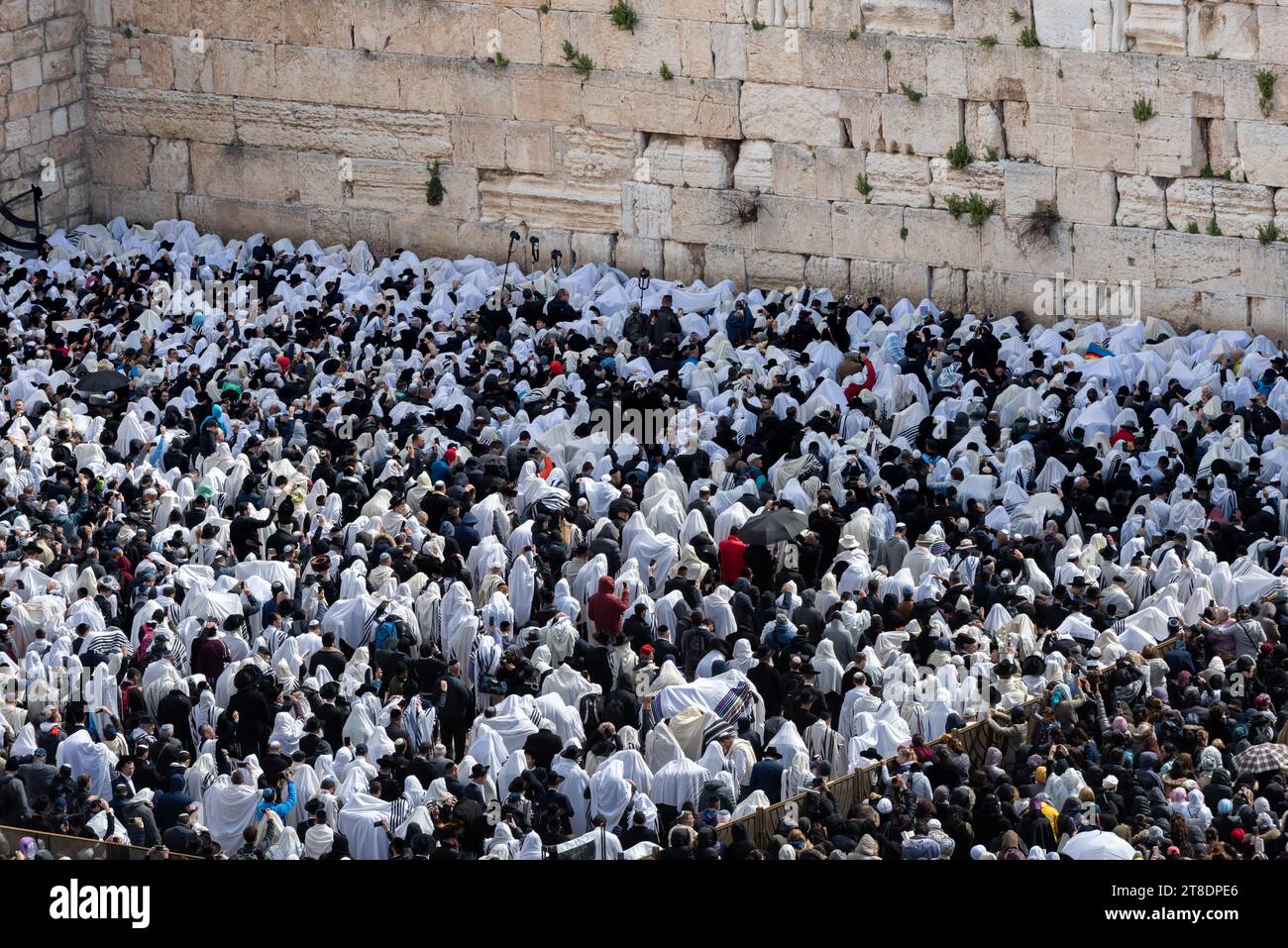 I fedeli ebrei si affollano nella sezione di preghiera sotto il muro Occidentale a Gerusalemme per la Benedizione del Cohanim o benedizione sacerdotale data due volte Foto Stock