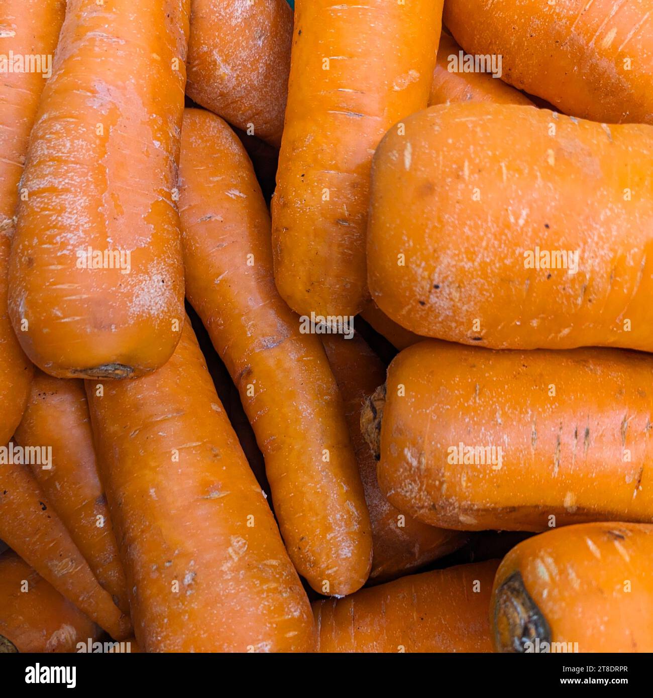 Molte carote, vista dall'alto. Benefici di carote, carote lavate, vitamina A. Foto Stock