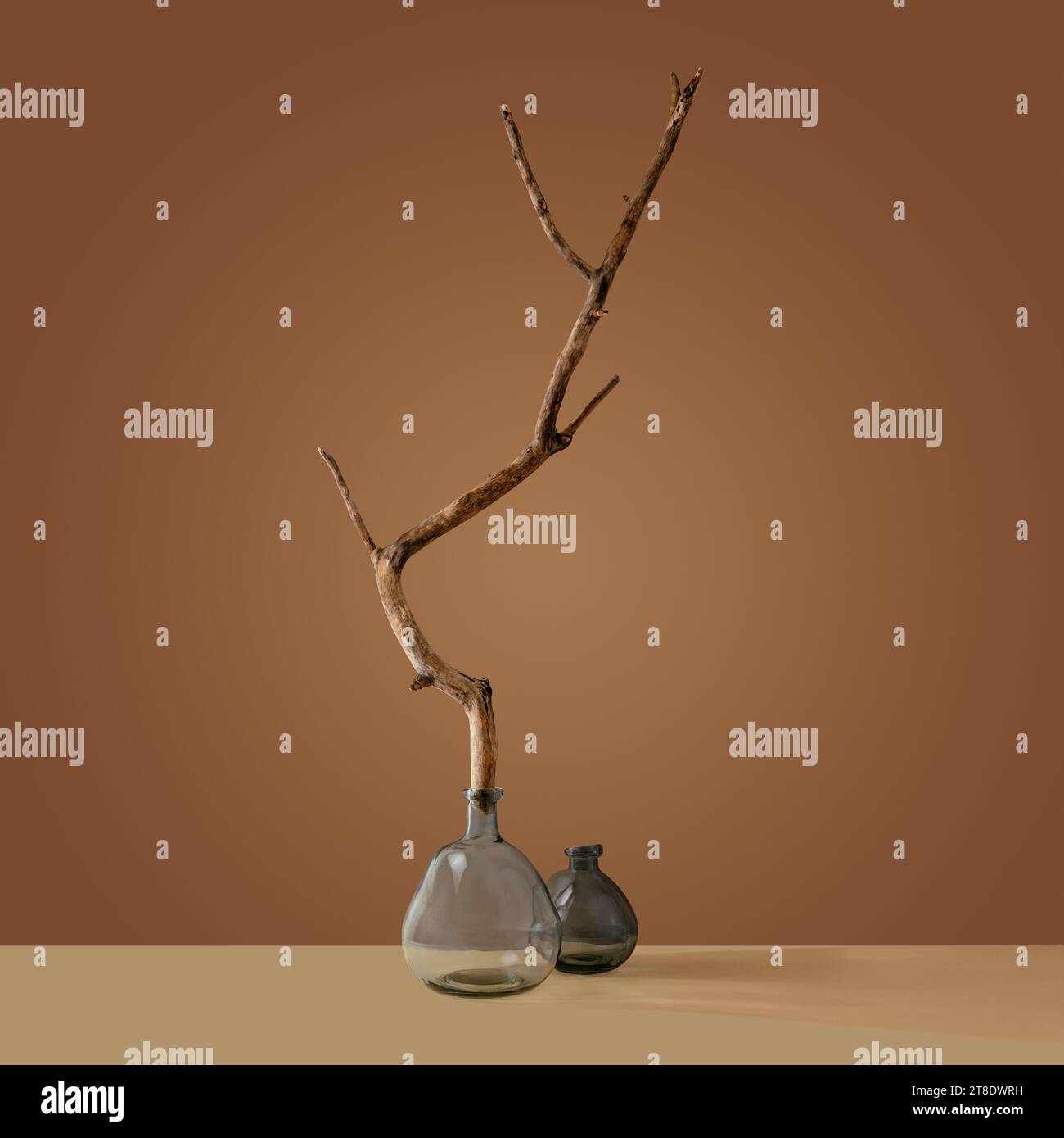 Composizione minimalista in stile asiatico giapponese con ikebana Foto Stock